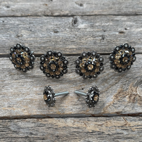 Antique Silver Champagne and Jet Saddle Conchos
