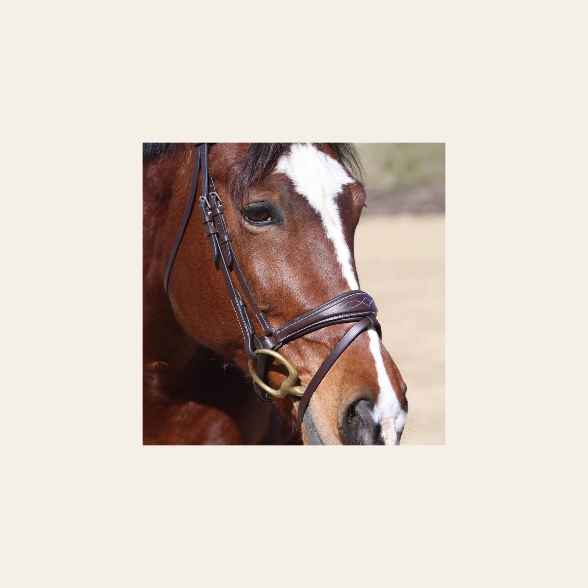 ExionPro Anatomical Dressage Bridle with Reins on a warm cream background