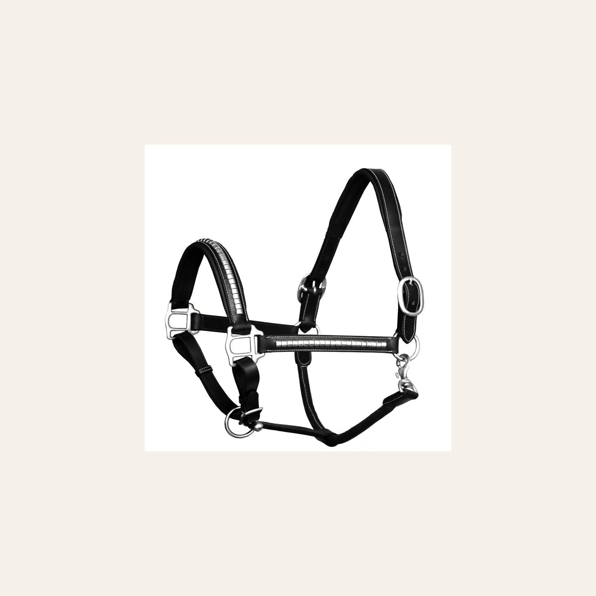 ExionPro Clincher Halter - Brass Nickel Hardware on a warm cream background