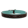 ExionPro Fancy Stitched Padded Leather Dog Collar - Sky Blue Padding by Bridles & Reins