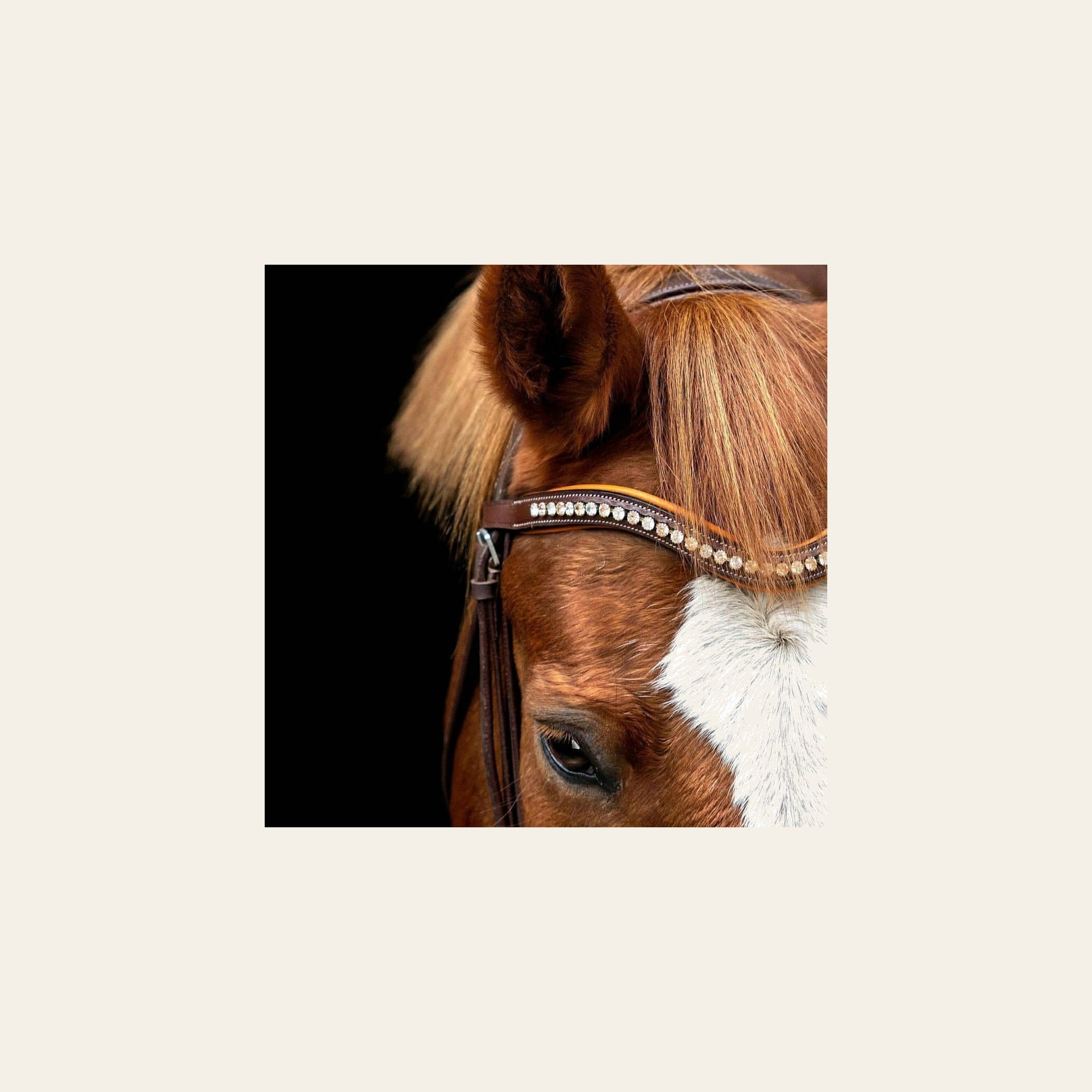 ExionPro Elegant Soft Padded Light Peach, Clear Crystal Browband on a warm cream background