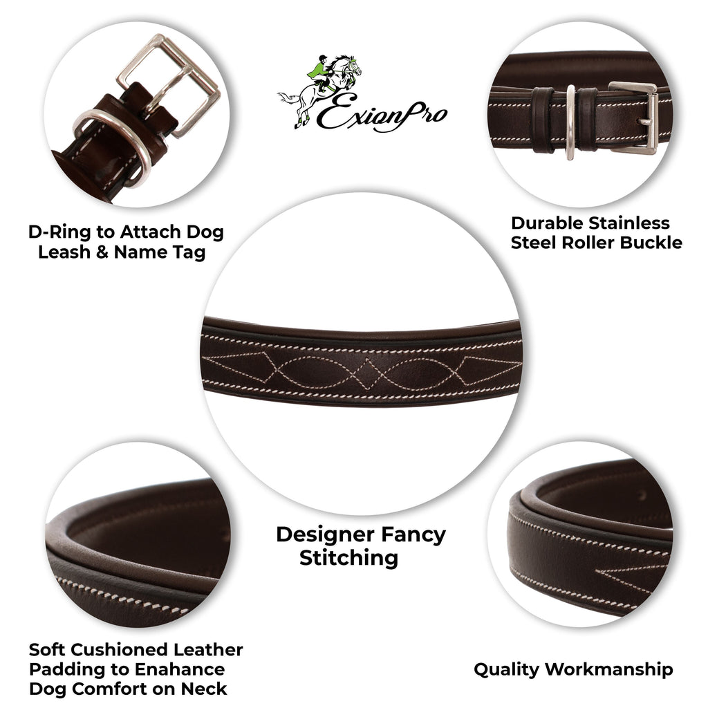 ExionPro Fancy Stitched Padded Leather Dog Collar - Oak Brown Padding by Bridles & Reins - alternate view 4