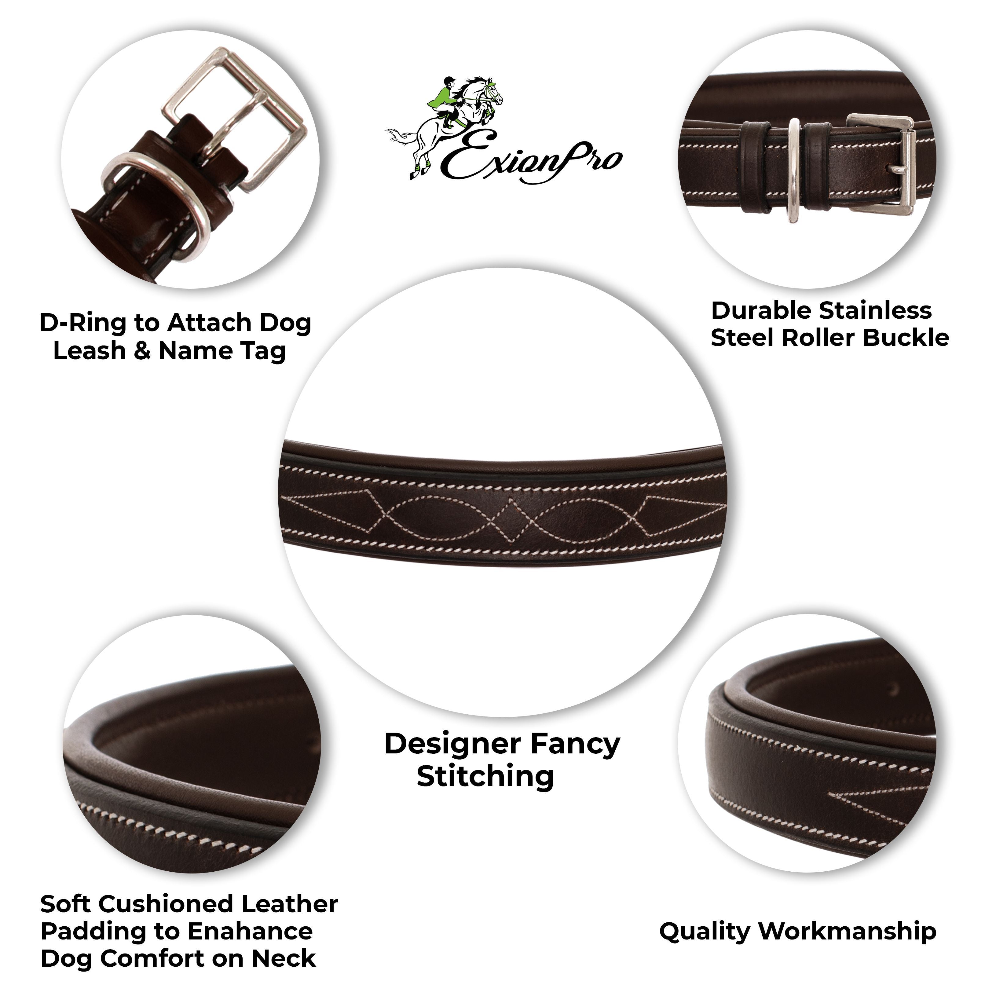 ExionPro Fancy Stitched Padded Leather Dog Collar - Oak Brown Padding by Bridles & Reins - alternate view 4