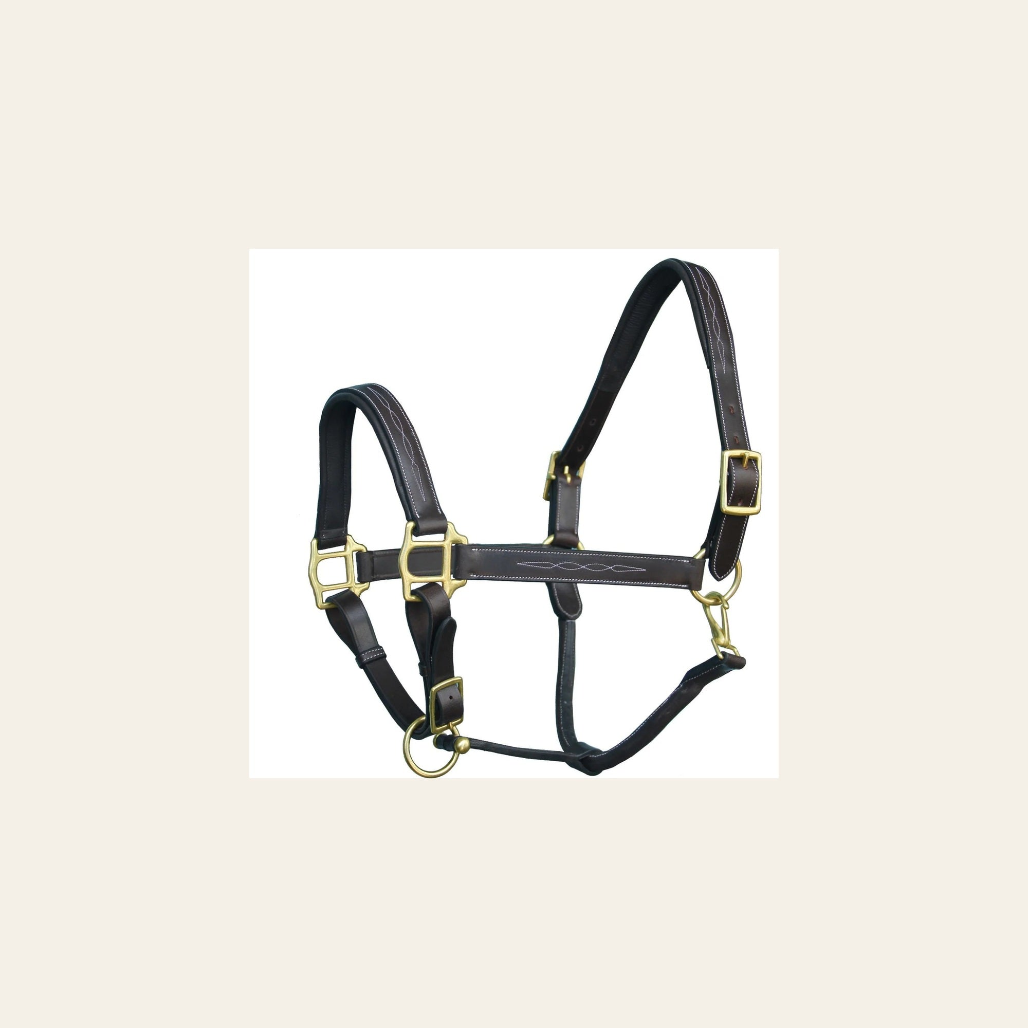 ExionPro Fancy Stitched Halter - Brass Hardware on a warm cream background