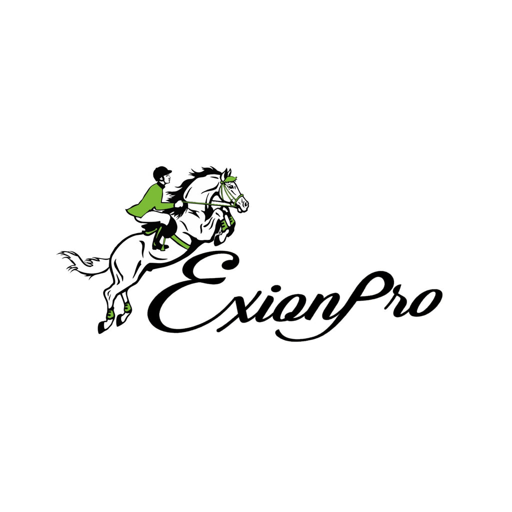 ExionPro Fancy Stitched Padded Leather Dog Collar - Havana Padding by Bridles & Reins - alternate view 8