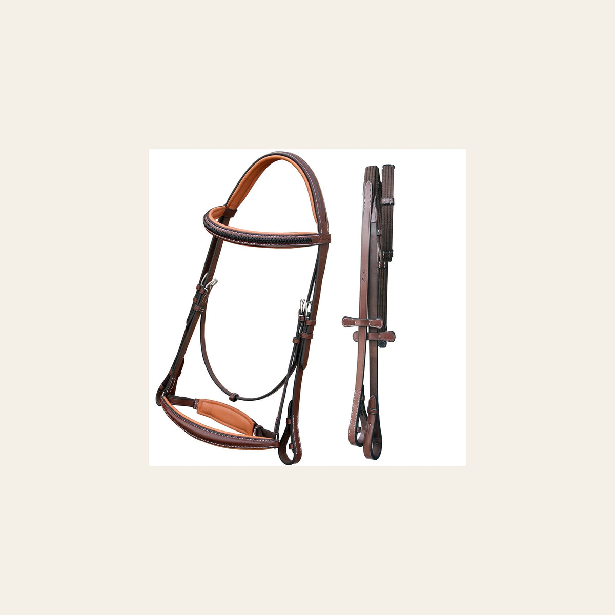 ExionPro Net Braided Browband & Dressage Bridle with Web Reins on a warm cream background