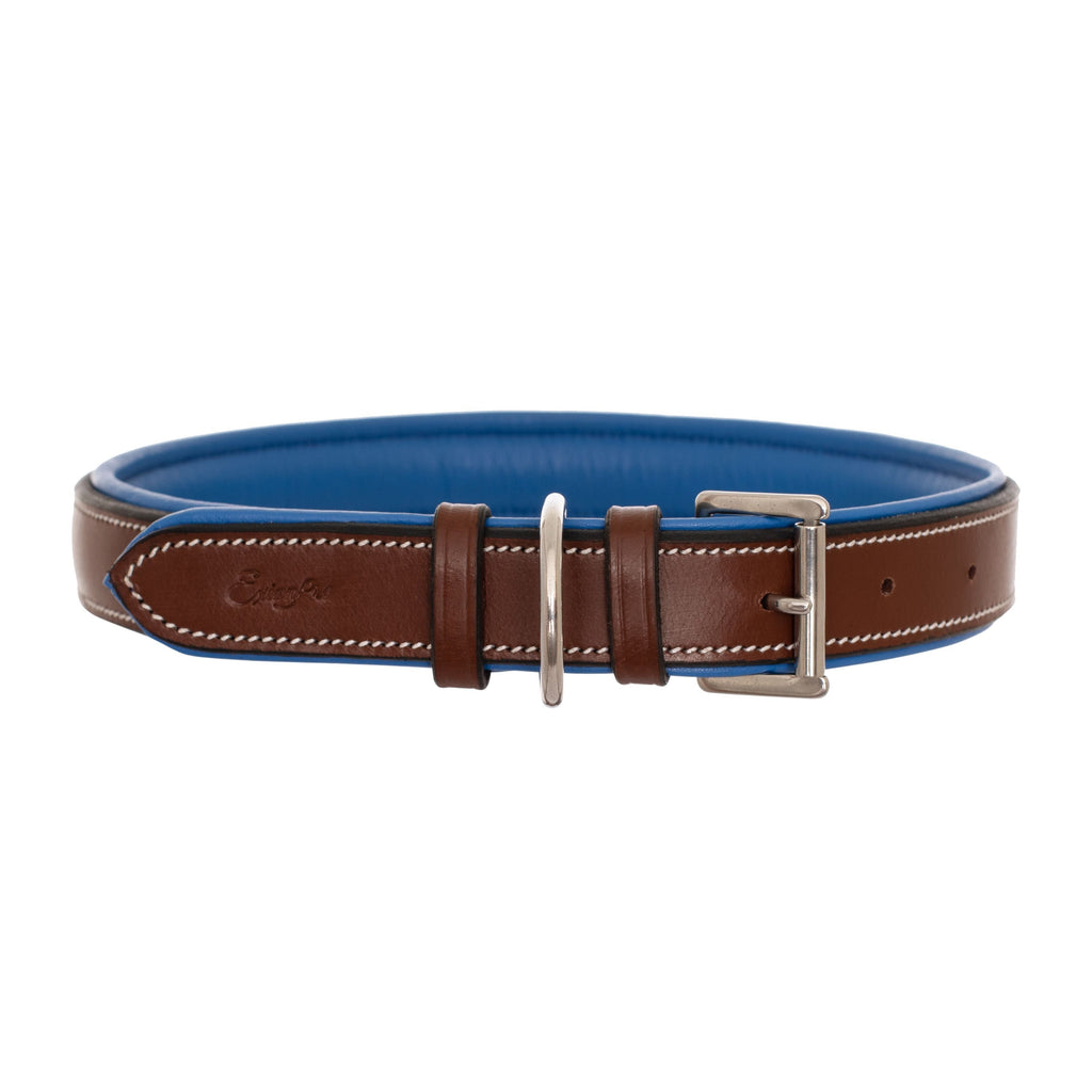 ExionPro Fancy Stitched Padded Leather Dog Collar - Blue Padding by Bridles & Reins - alternate view 4