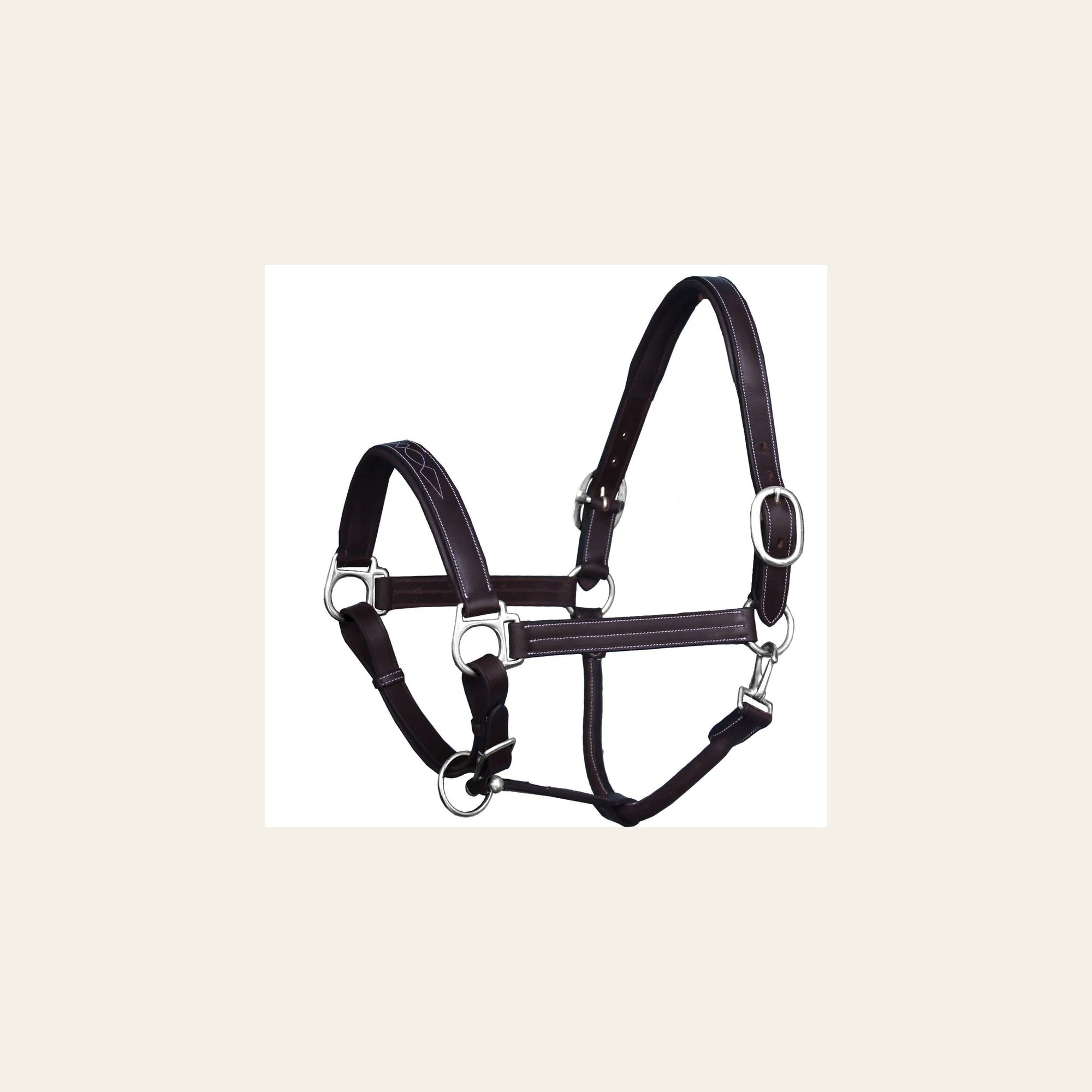 ExionPro Triple Stitched Halter - Brass Nickel Hardware on a warm cream background