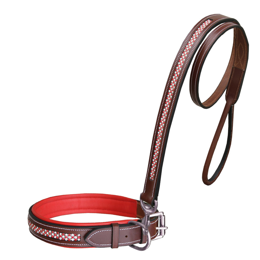 ExionPro Red Bling Padded Dog Collar With Dog Leash by Bridles & Reins - alternate view 2