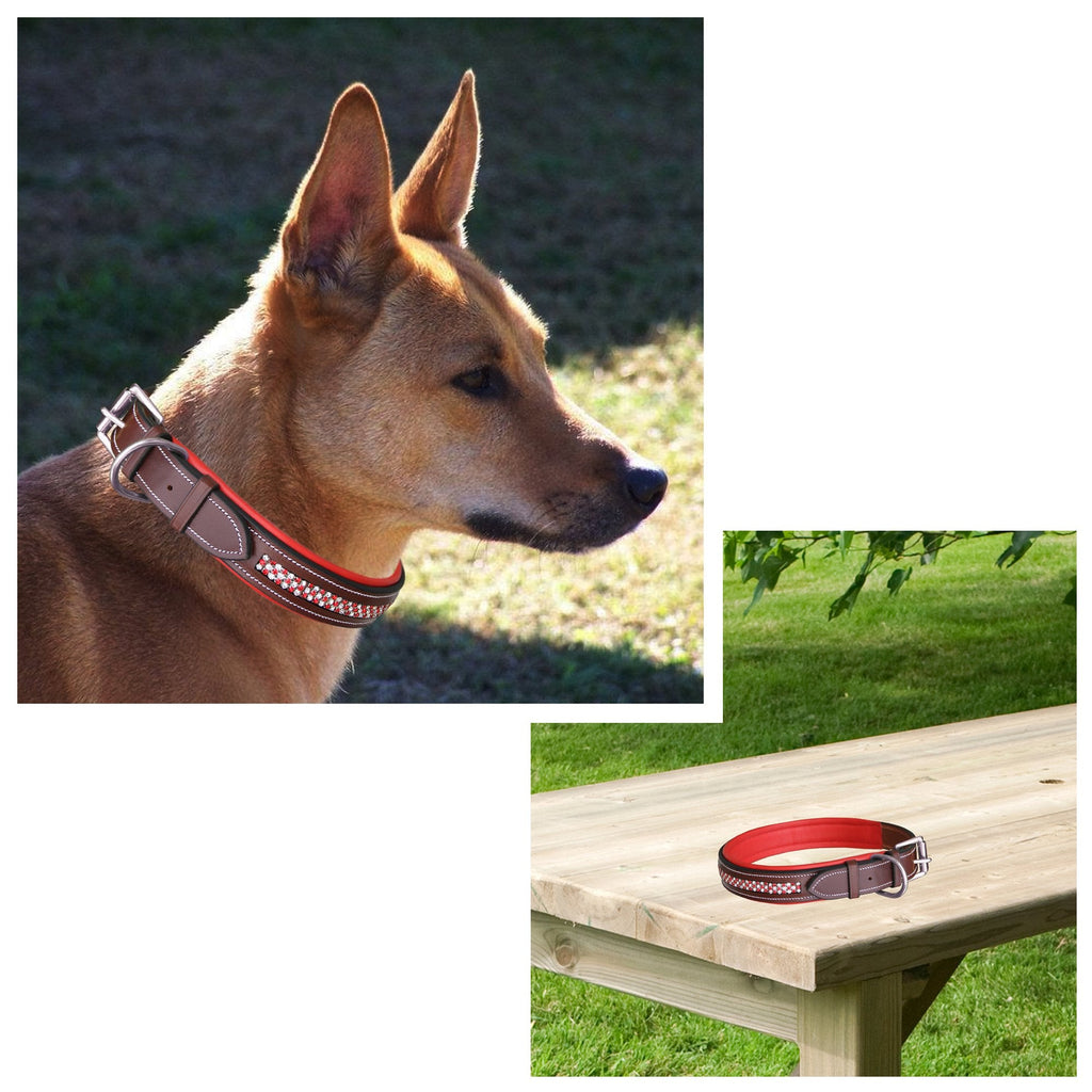 ExionPro Red Bling Padded Dog Collar With Dog Leash by Bridles & Reins - alternate view 7