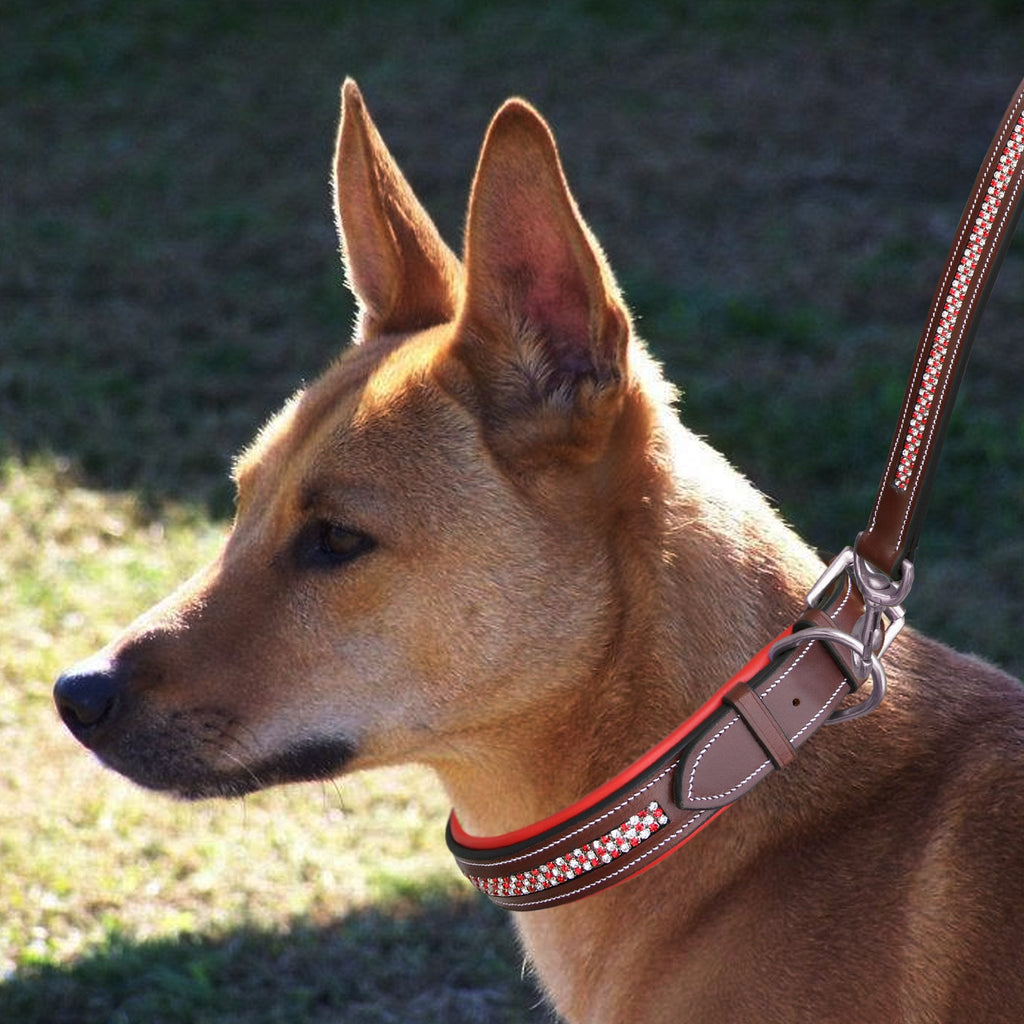 ExionPro Red Bling Padded Dog Collar With Dog Leash by Bridles & Reins - alternate view 5