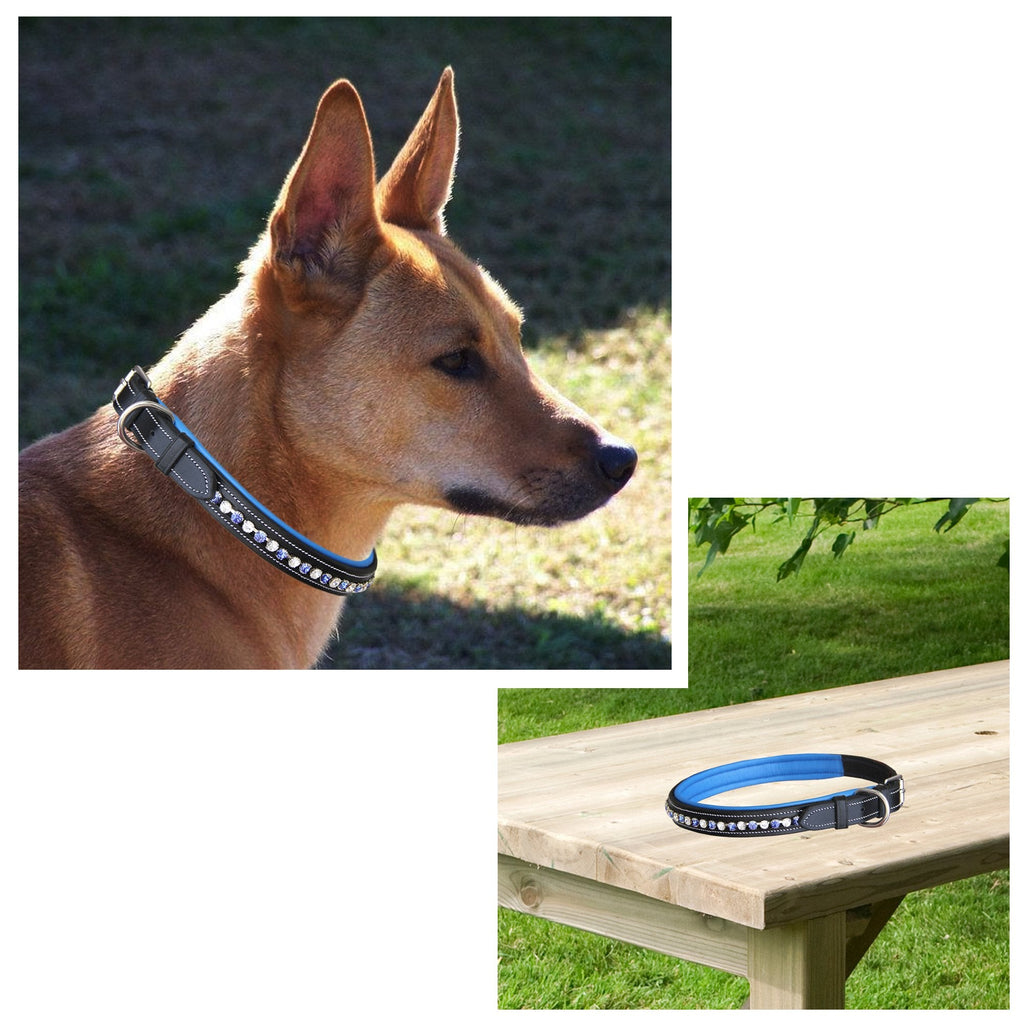 ExionPro White & Blue Bling Dog Collar With Leash by Bridles & Reins - alternate view 6