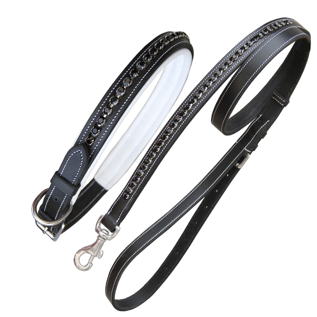 ExionPro Black Bling Dog Collar With Leash by Bridles & Reins