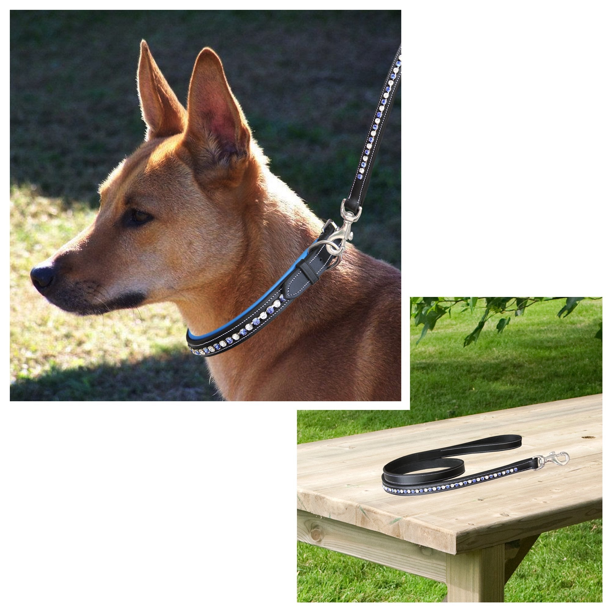 ExionPro White & Blue Bling Dog Collar With Leash by Bridles & Reins - alternate view 7