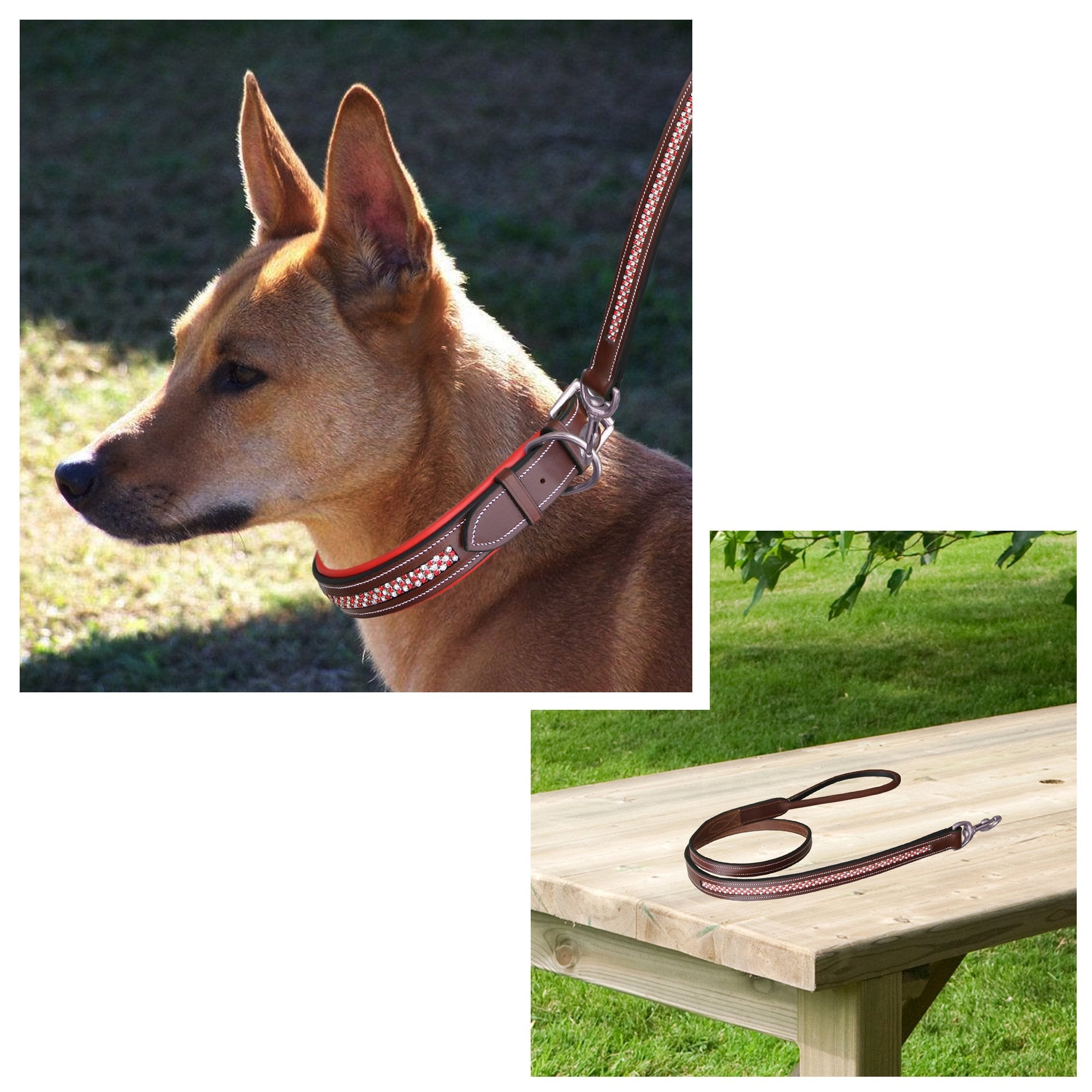 ExionPro Red Bling Padded Dog Collar With Dog Leash by Bridles & Reins - alternate view 6