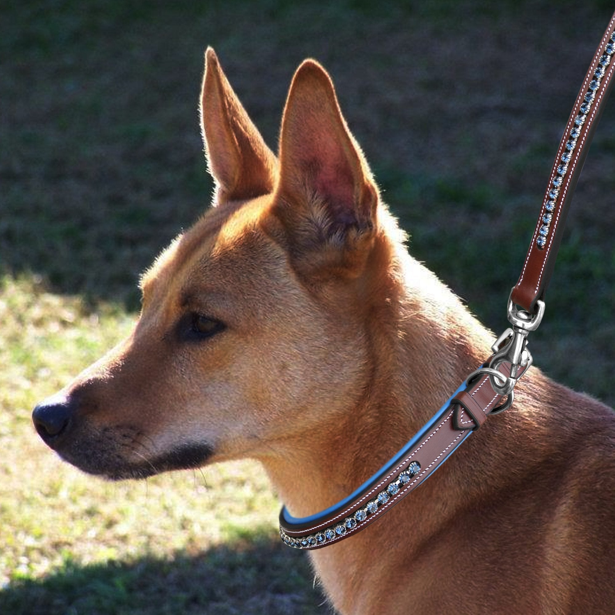 ExionPro Dark Blue Bling Dog Collar With Leash by Bridles & Reins - alternate view 5