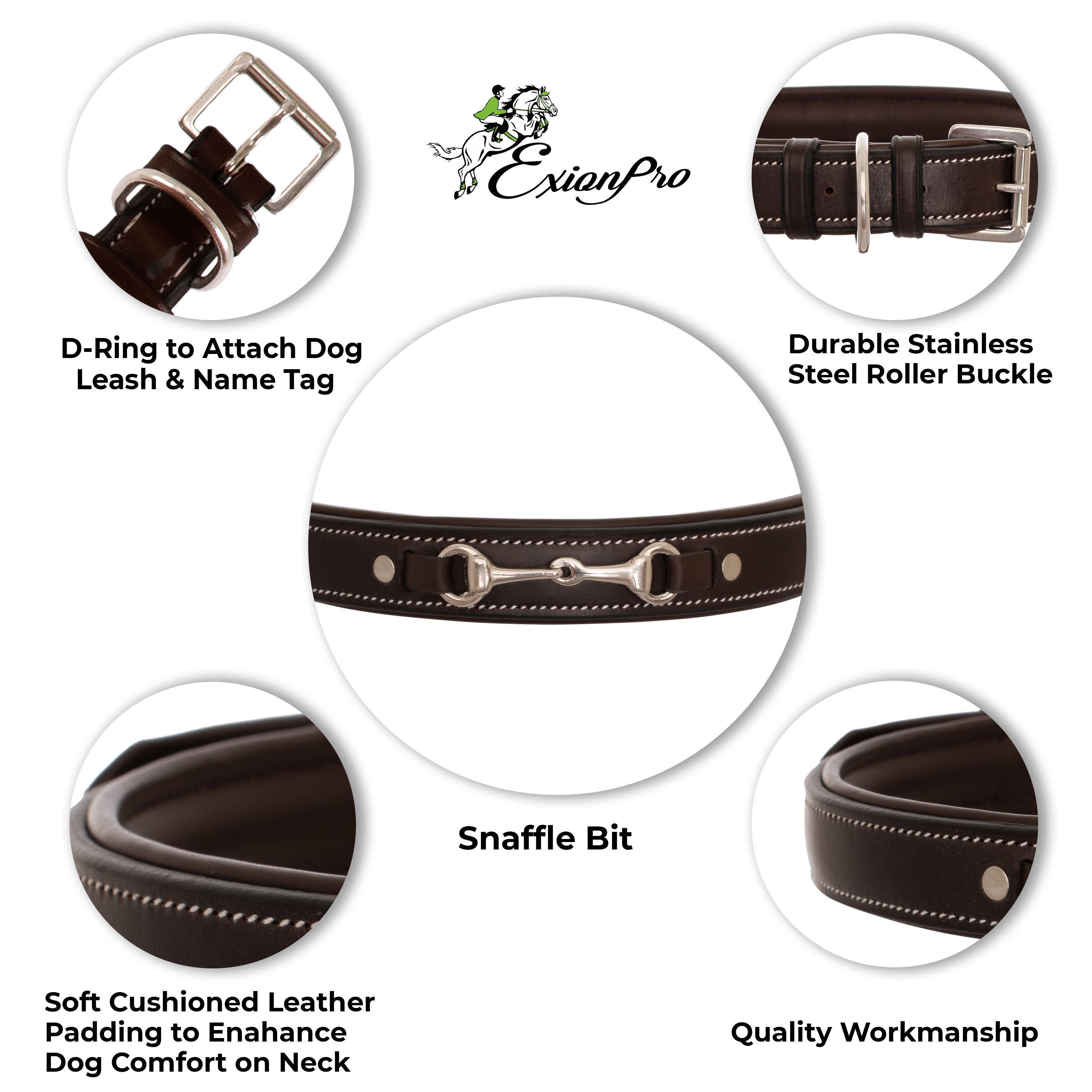 ExionPro Silver Snaffle Padded Leather Dog Collar - Conker Padding by Bridles & Reins - alternate view 3