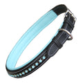 ExionPro Blue Bling Dog Collar by Bridles & Reins
