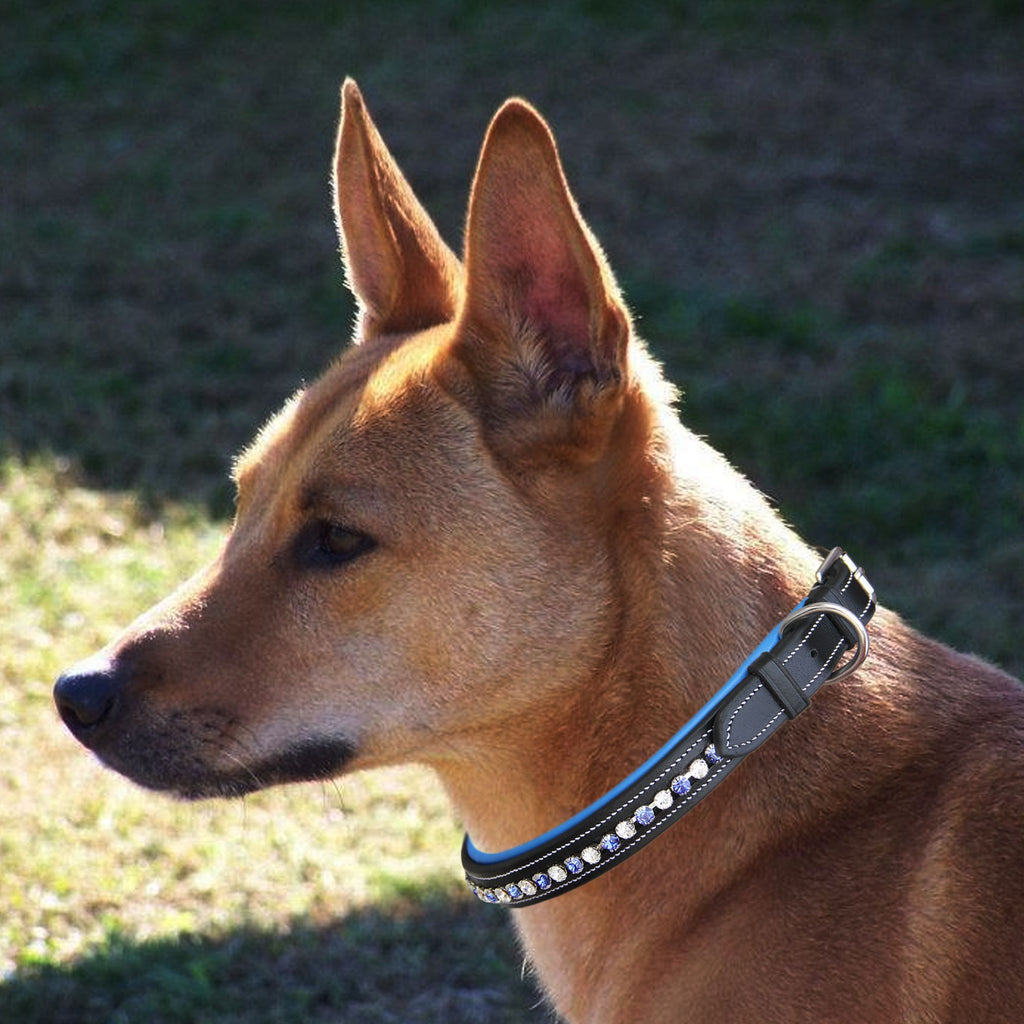 ExionPro White & Blue Bling Dog Collar by Bridles & Reins - alternate view 6