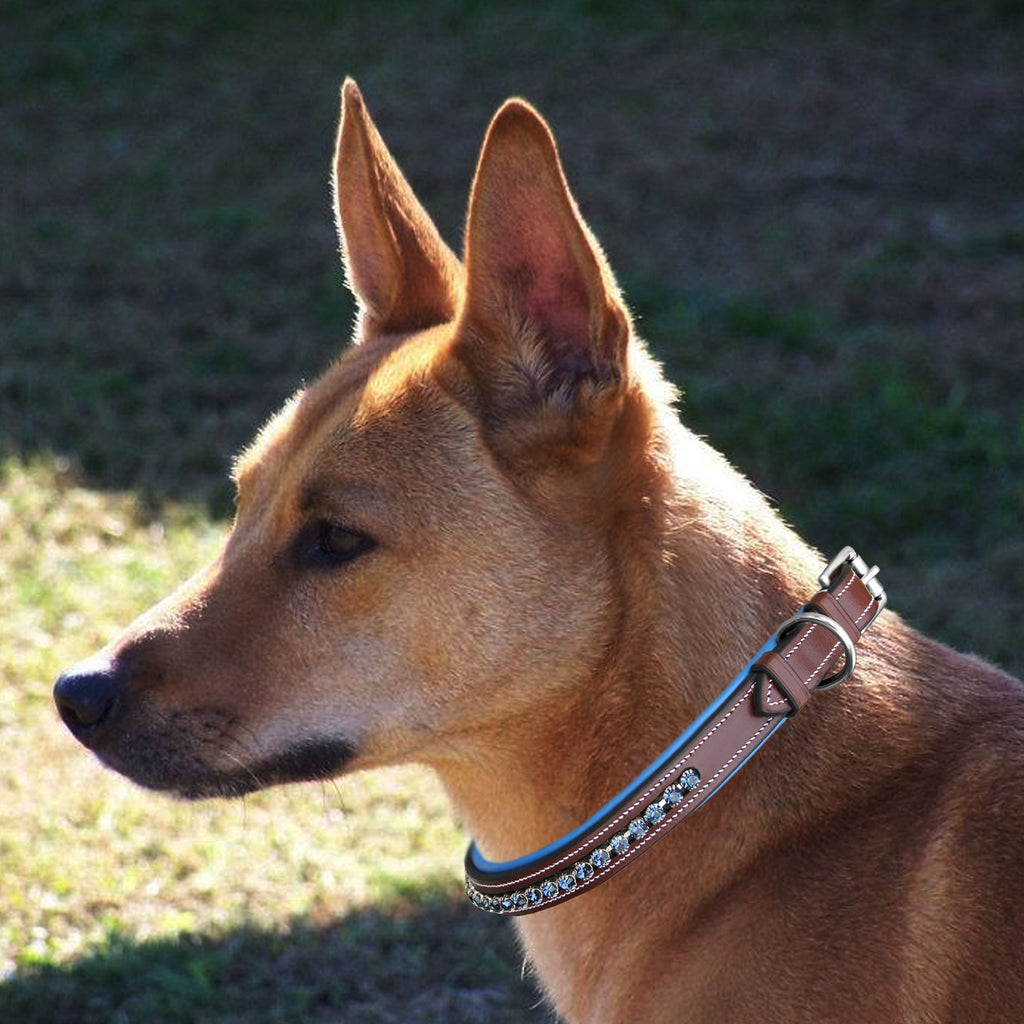 ExionPro Dark Blue Bling Dog Collar by Bridles & Reins - alternate view 6