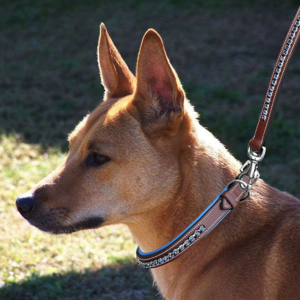 ExionPro Dark Blue Bling Dog Leash by Bridles & Reins - alternate view 3