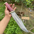Handmade Damascus Clip Point Bowie Utility Knife Fixed Blade Pakka Wood Handle with Guard