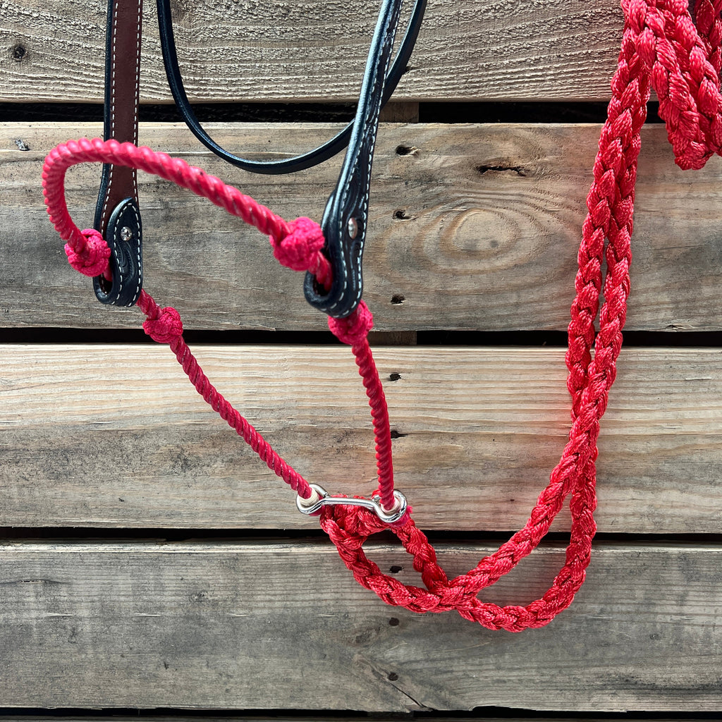 Black Floral V-Brow Red Loping Hackamore #LHK026 — view 2