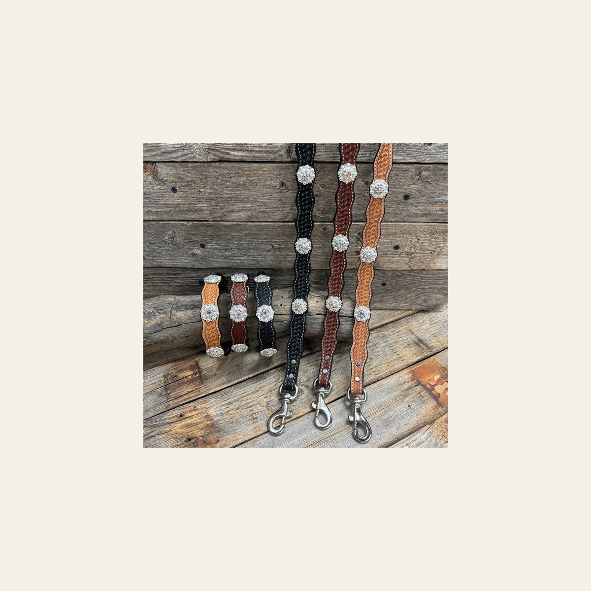 Genuine Leather Dog Collar or Leash With Bright Silver AB Conchos 10" to 22" orDC49 on a warm cream background