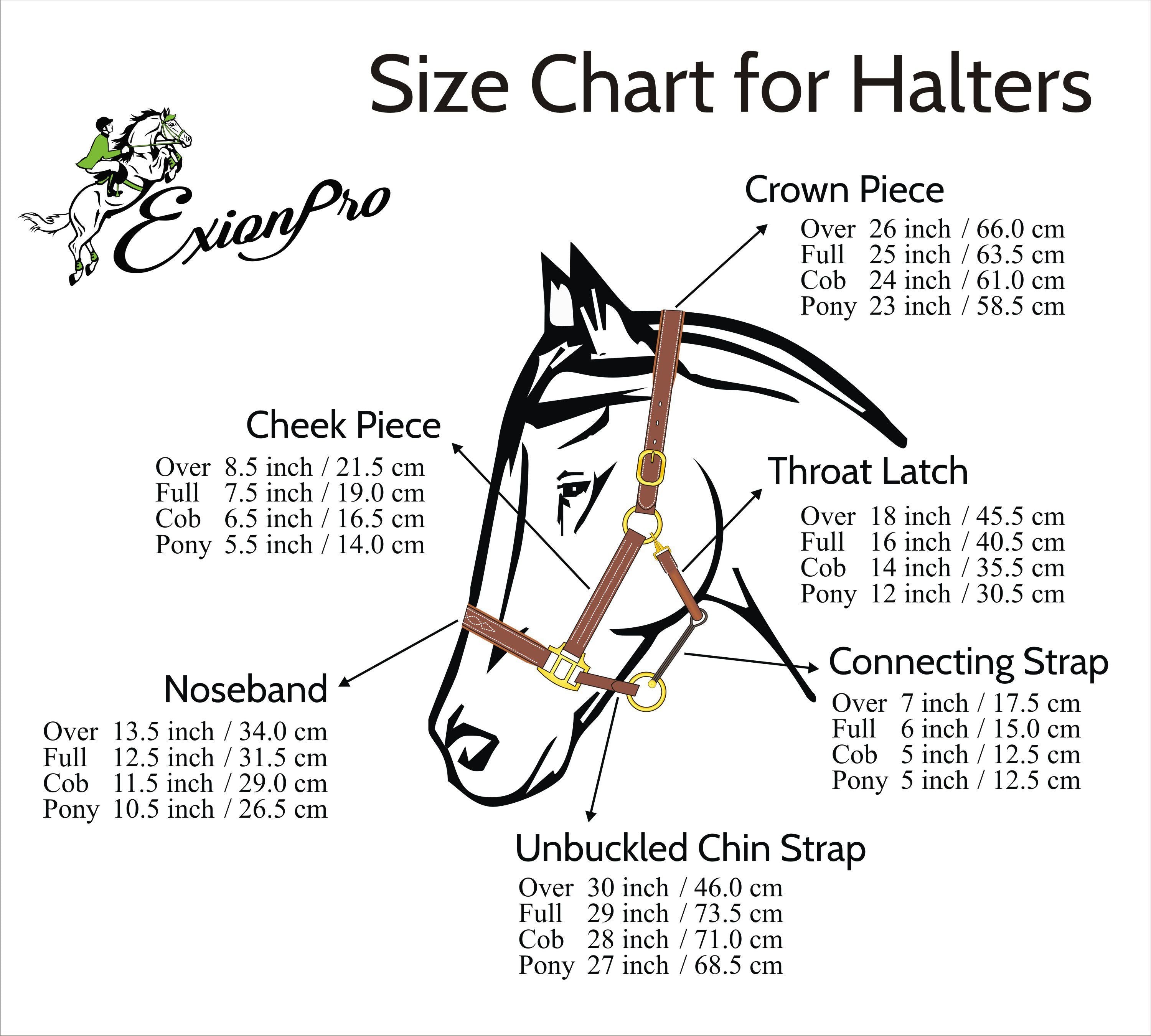ExionPro Fancy Stitched Halter - Brass Hardware by Bridles & Reins - alternate view 4