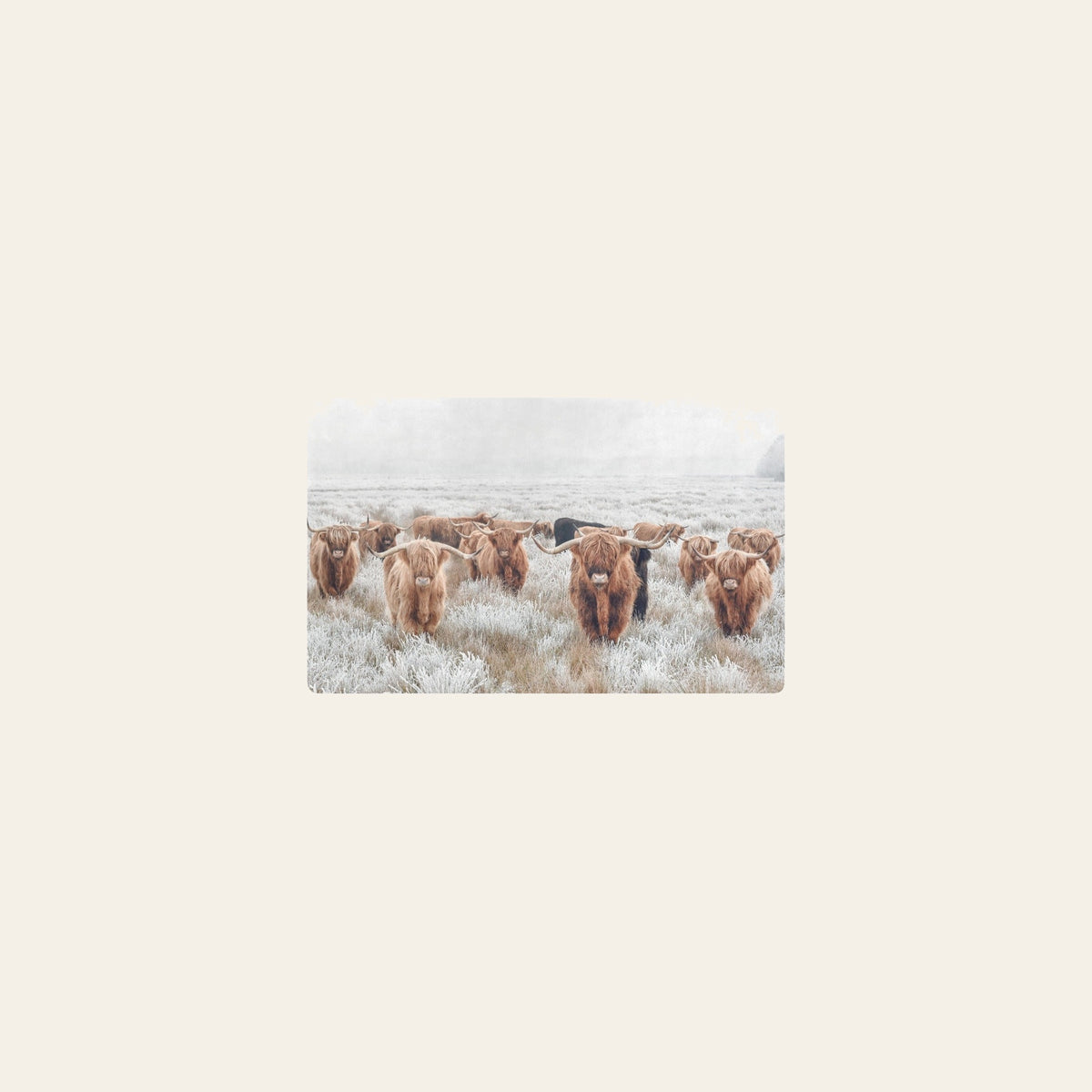 Highland Cow Herd Floor Mat Kitchen Mat 32"x20" Made in America by Baha Ranch Western Wear