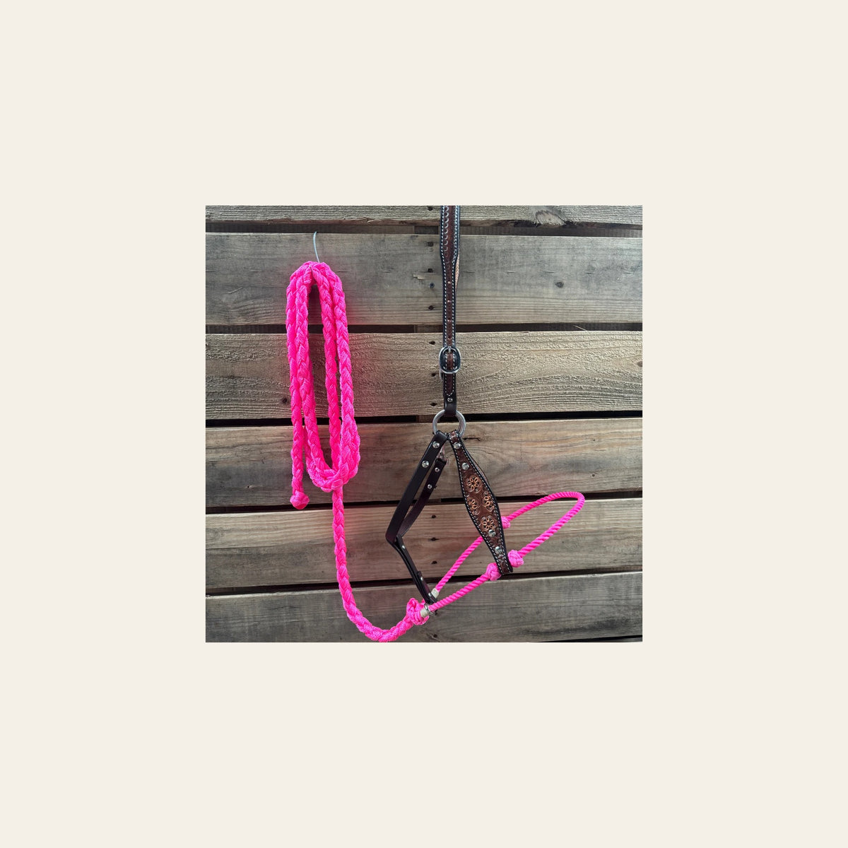 Hot Pink Flower Power Tooled Lariat & Leather Combo Halter on a warm cream background