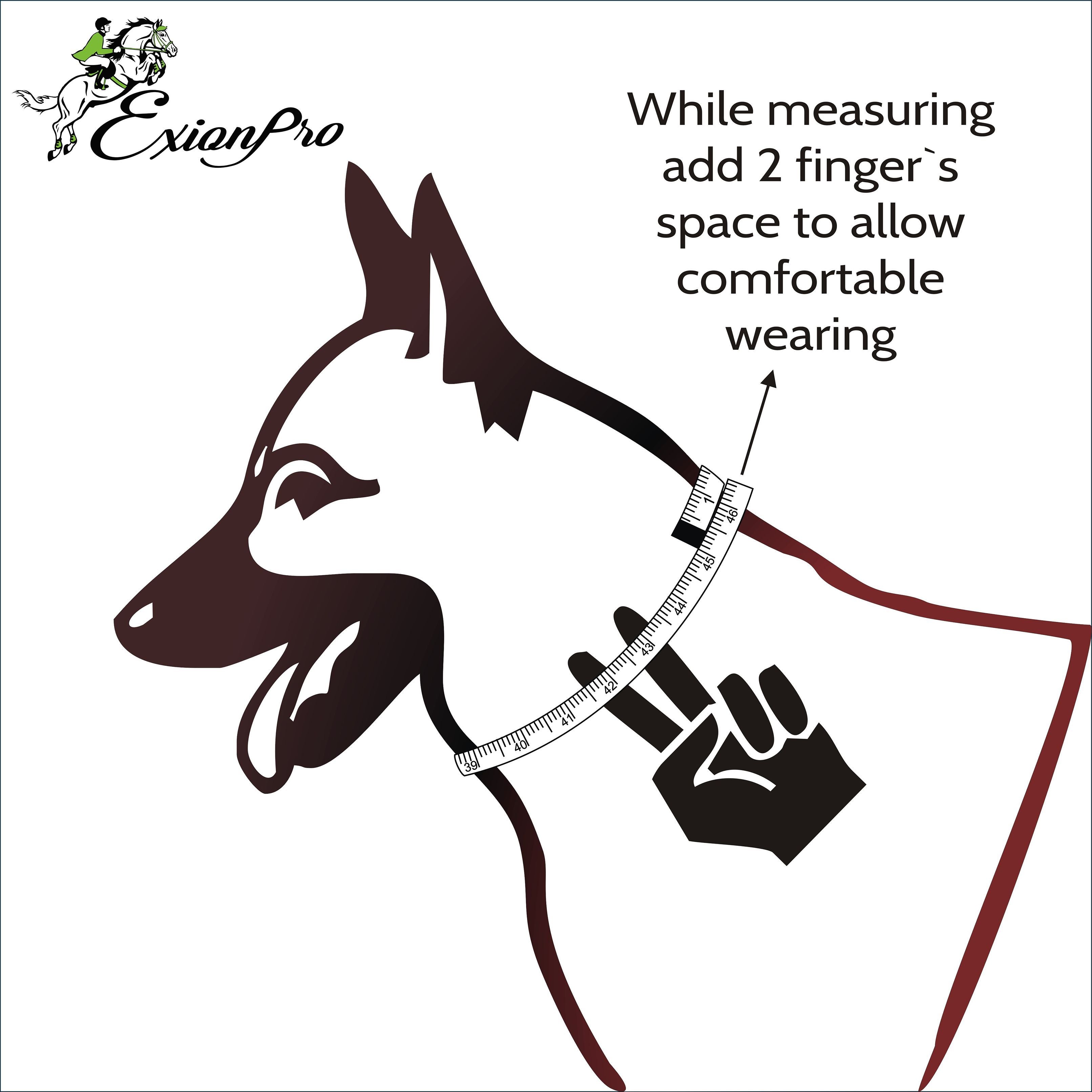 ExionPro White & Blue Bling Dog Collar by Bridles & Reins - alternate view 4
