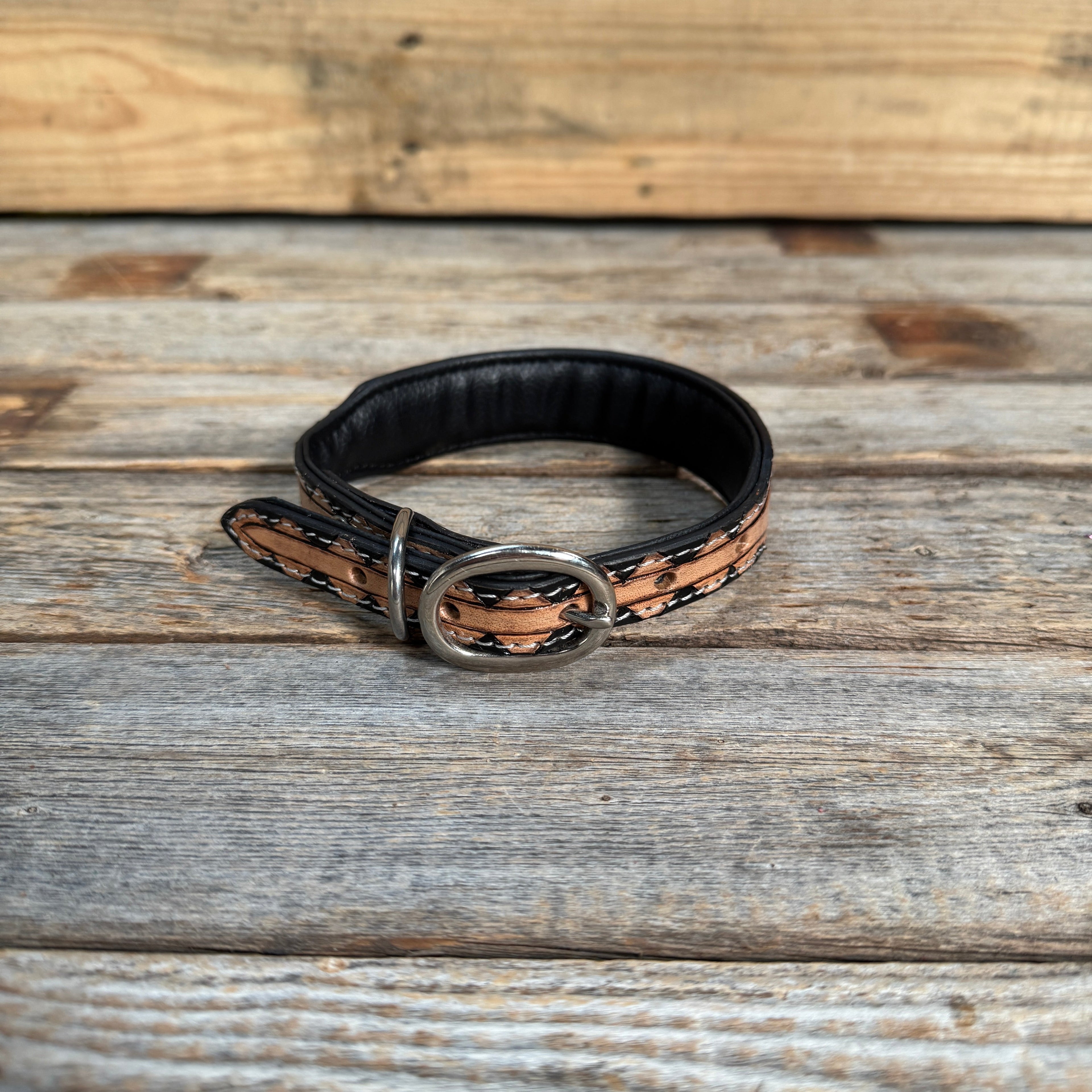 Turquoise Feather Genuine Leather Padded Dog Collar #FKDC4 — view 3