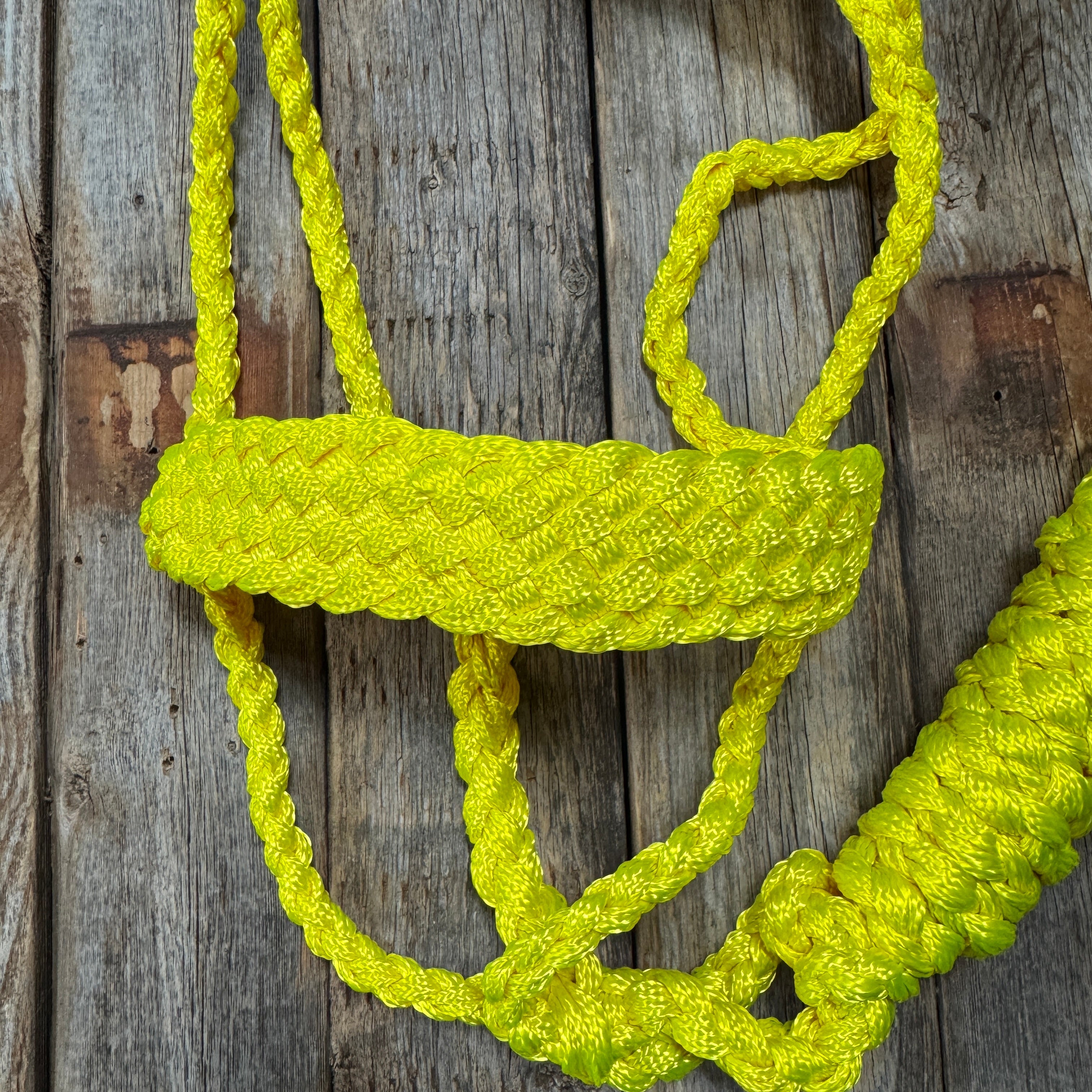 Neon Yellow Mule Tape Halter — view 2