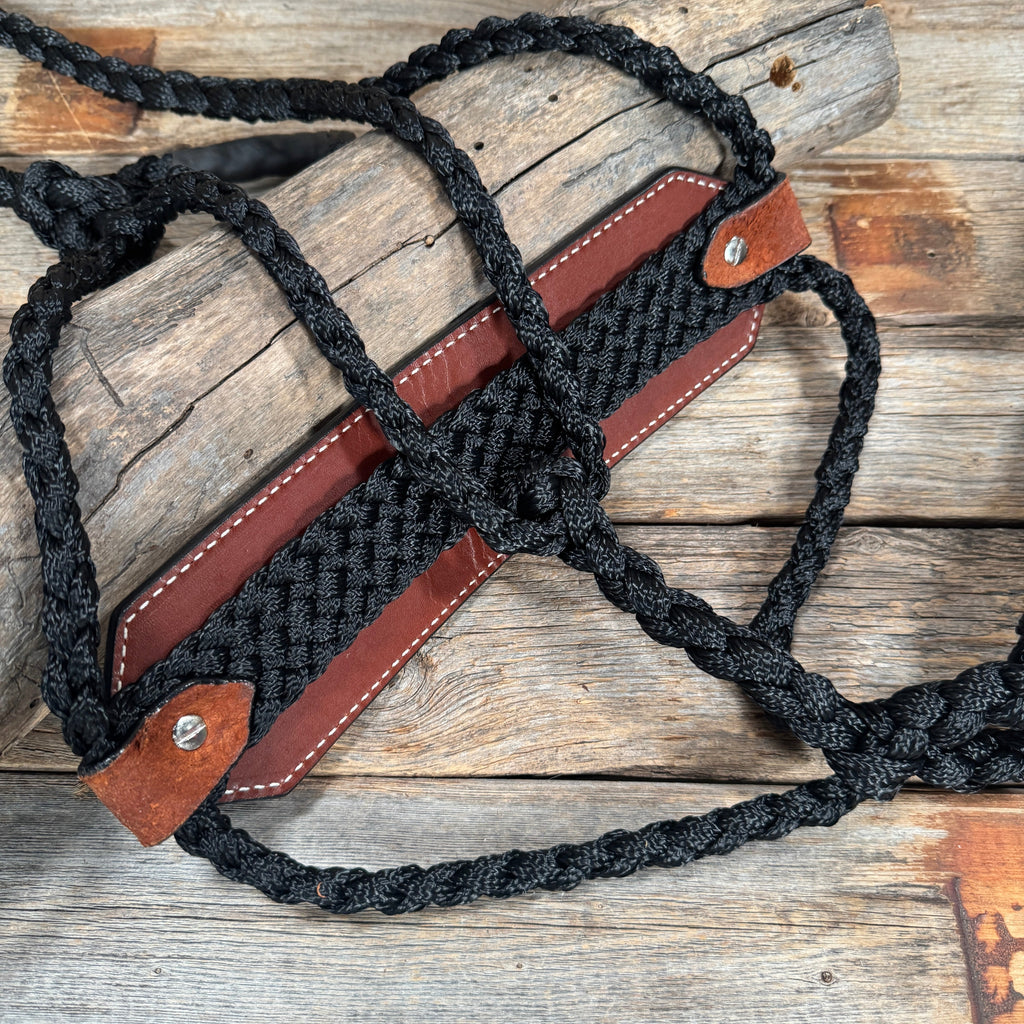 Bronc Noseband Mule Tape Halter with Copper Ruby/Jet/Champagne Conchos #MT302 — view 4