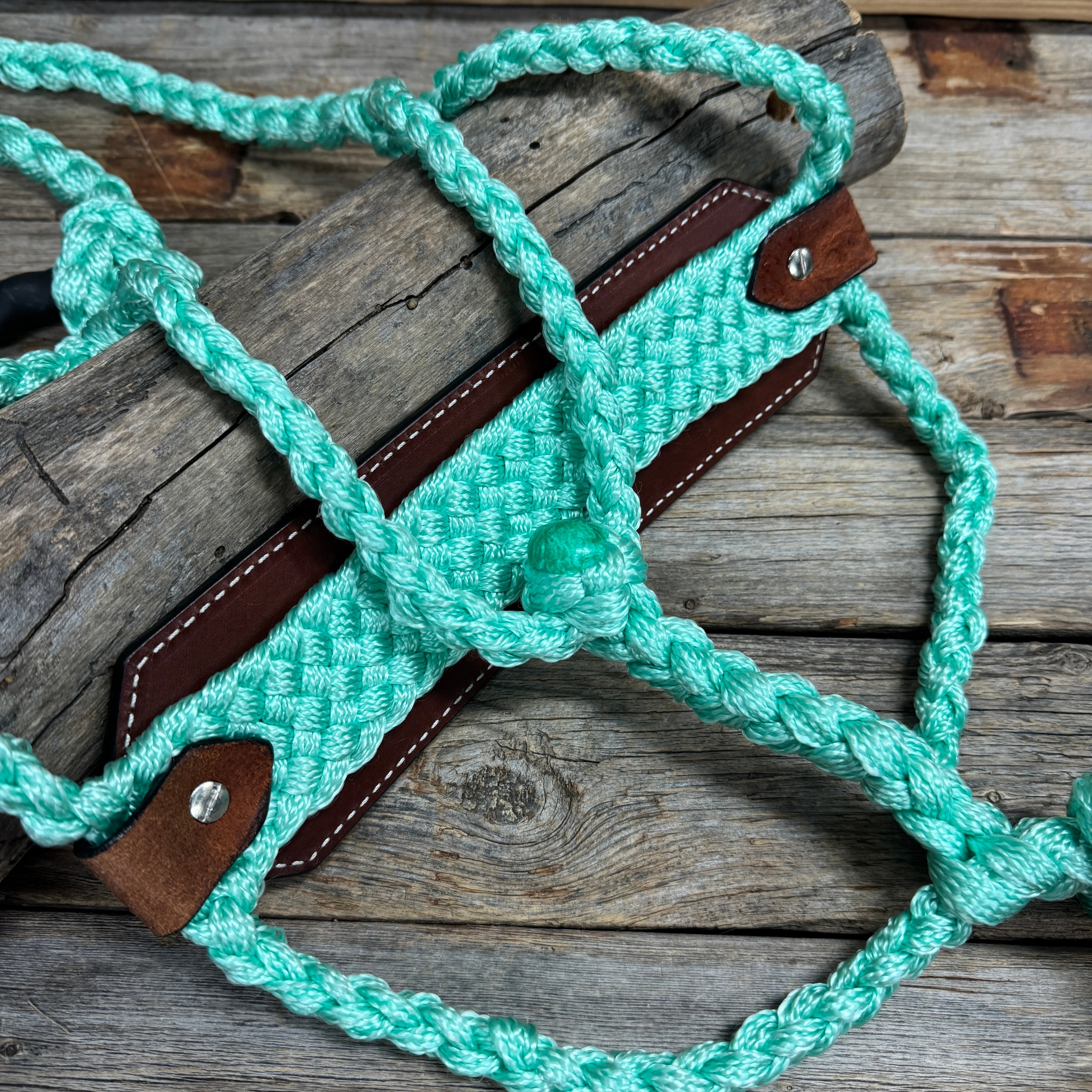 Bronc Noseband Mule Tape Halter with Western Turquoise Conchos #MT303 — view 4