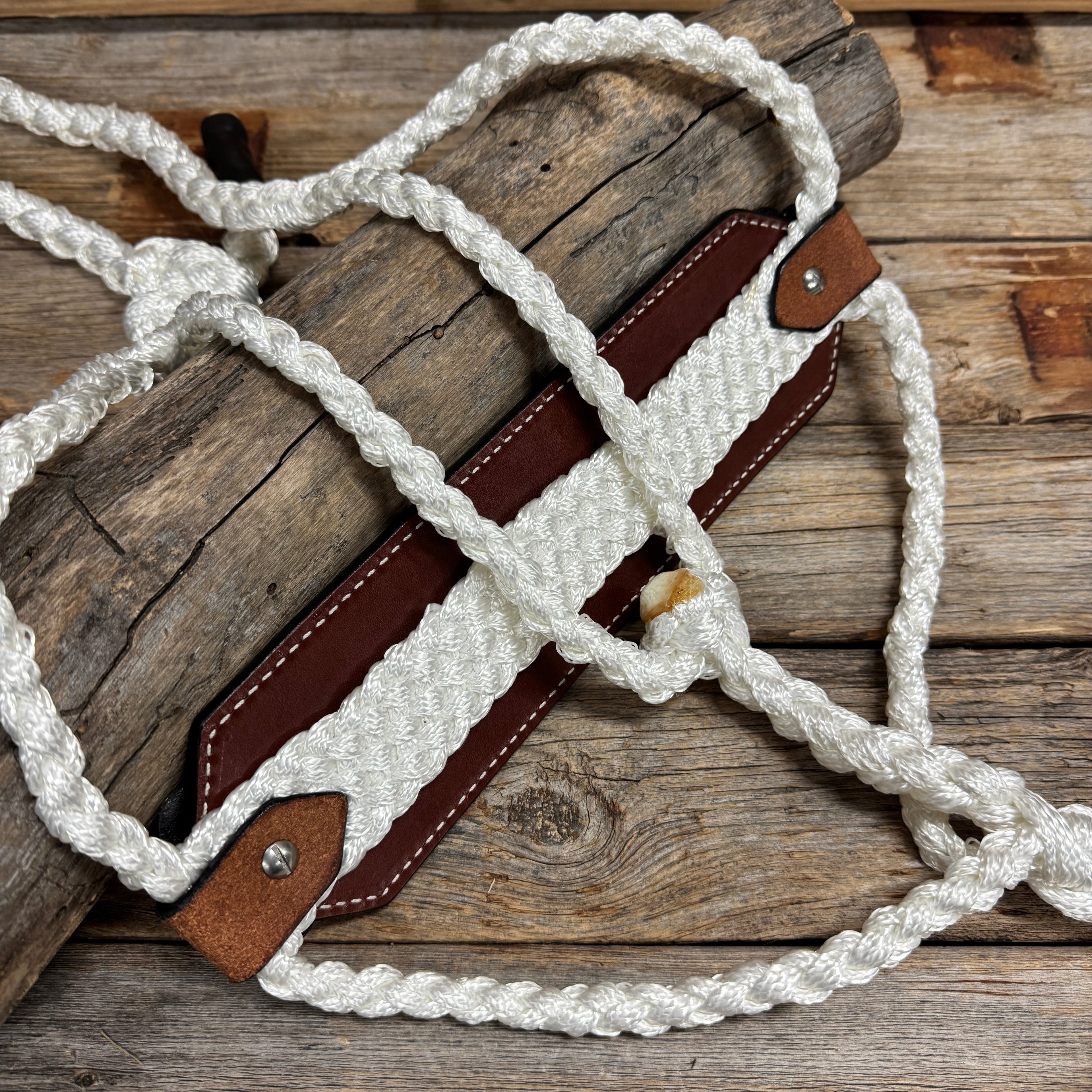 Bronc Noseband Mule Tape Halter with Bright Silver Clear Conchos #MT304 — view 4