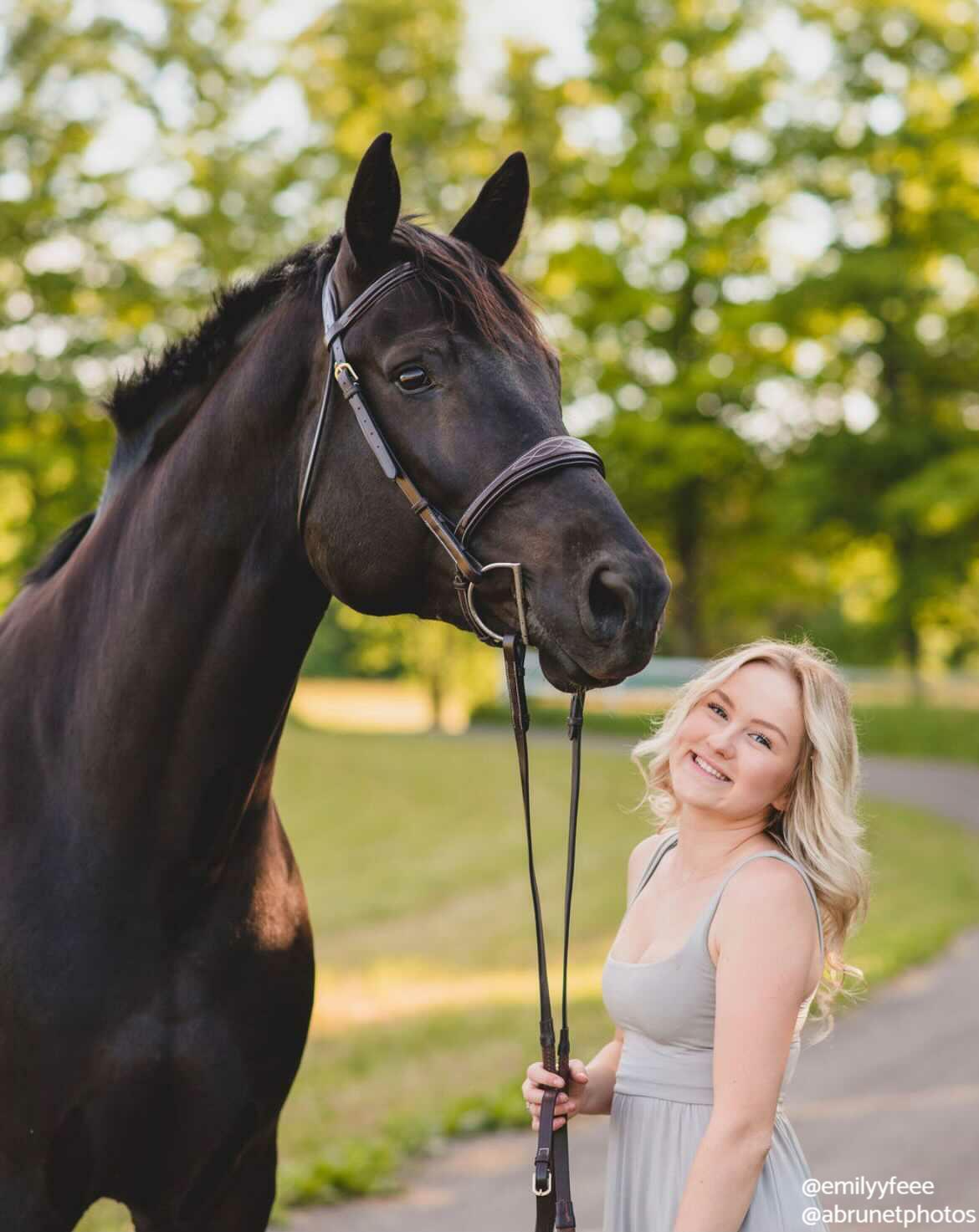 ExionPro 'Perseus' Anatomical Jumping Bridle without Flash with Reins by Bridles & Reins - alternate view 10