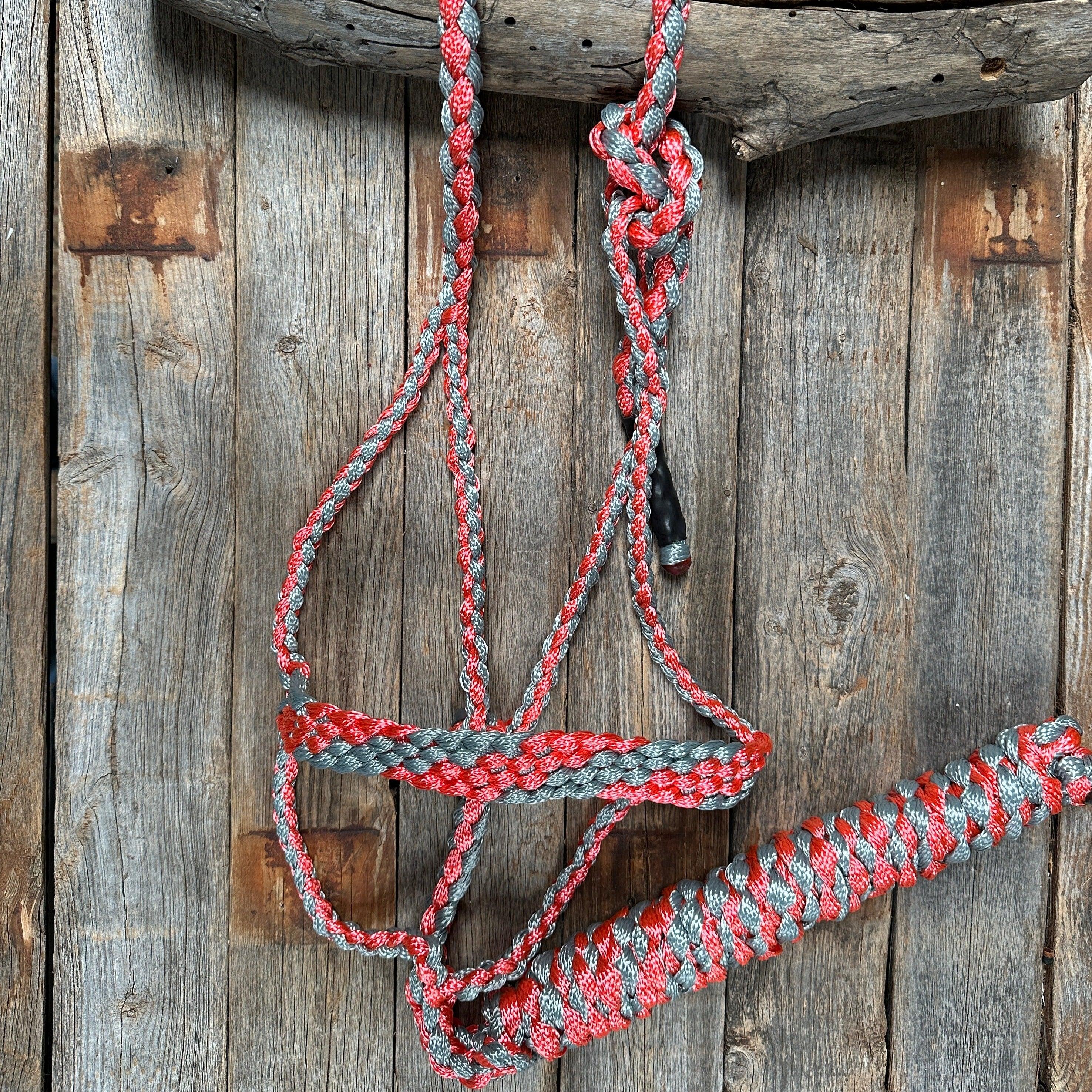 Mule Tape Halters - Two Tone Assorted Colors- — view 2