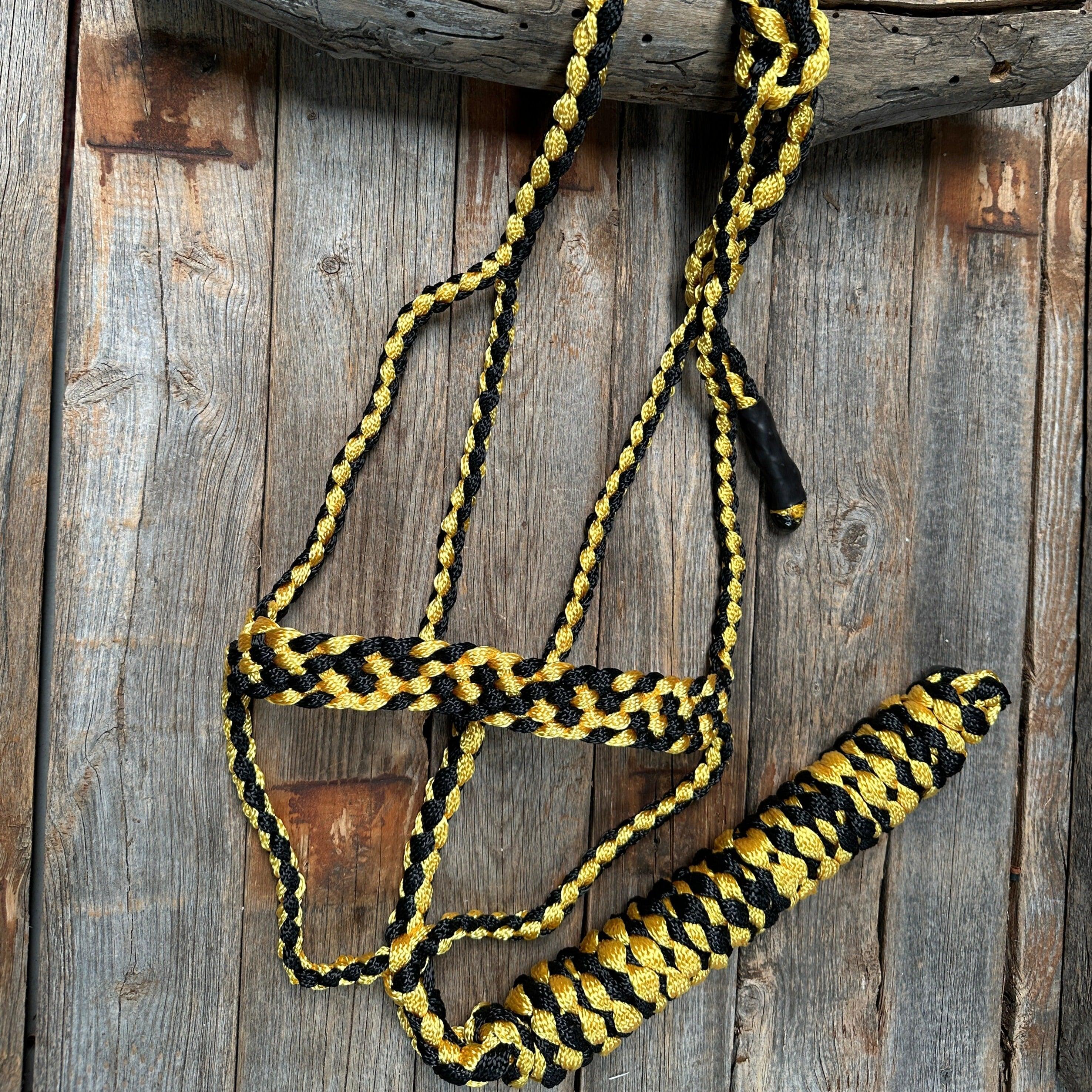 Mule Tape Halters - Two Tone Assorted Colors- — view 4