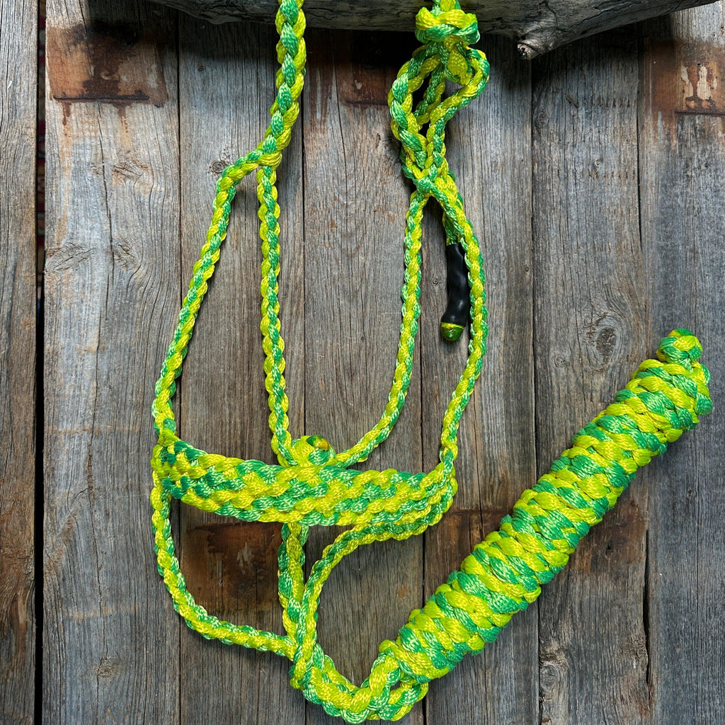 Mule Tape Halters - Two Tone Assorted Colors- — view 5