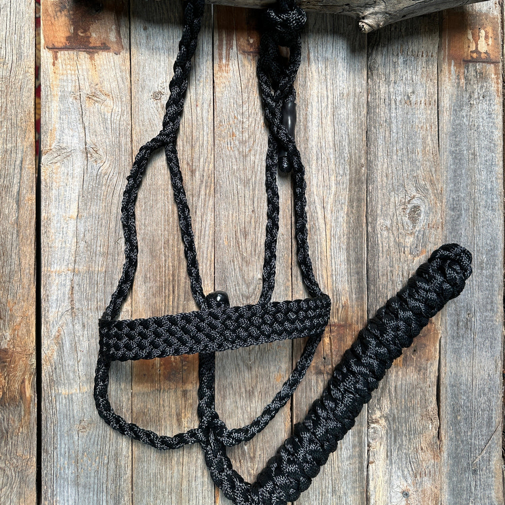 Black Mule Tape Halter — view 2