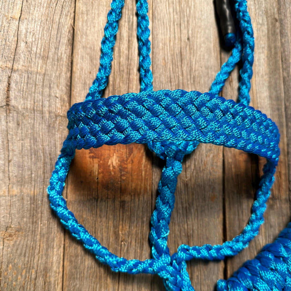 Blue Mule Tape Halter — view 3