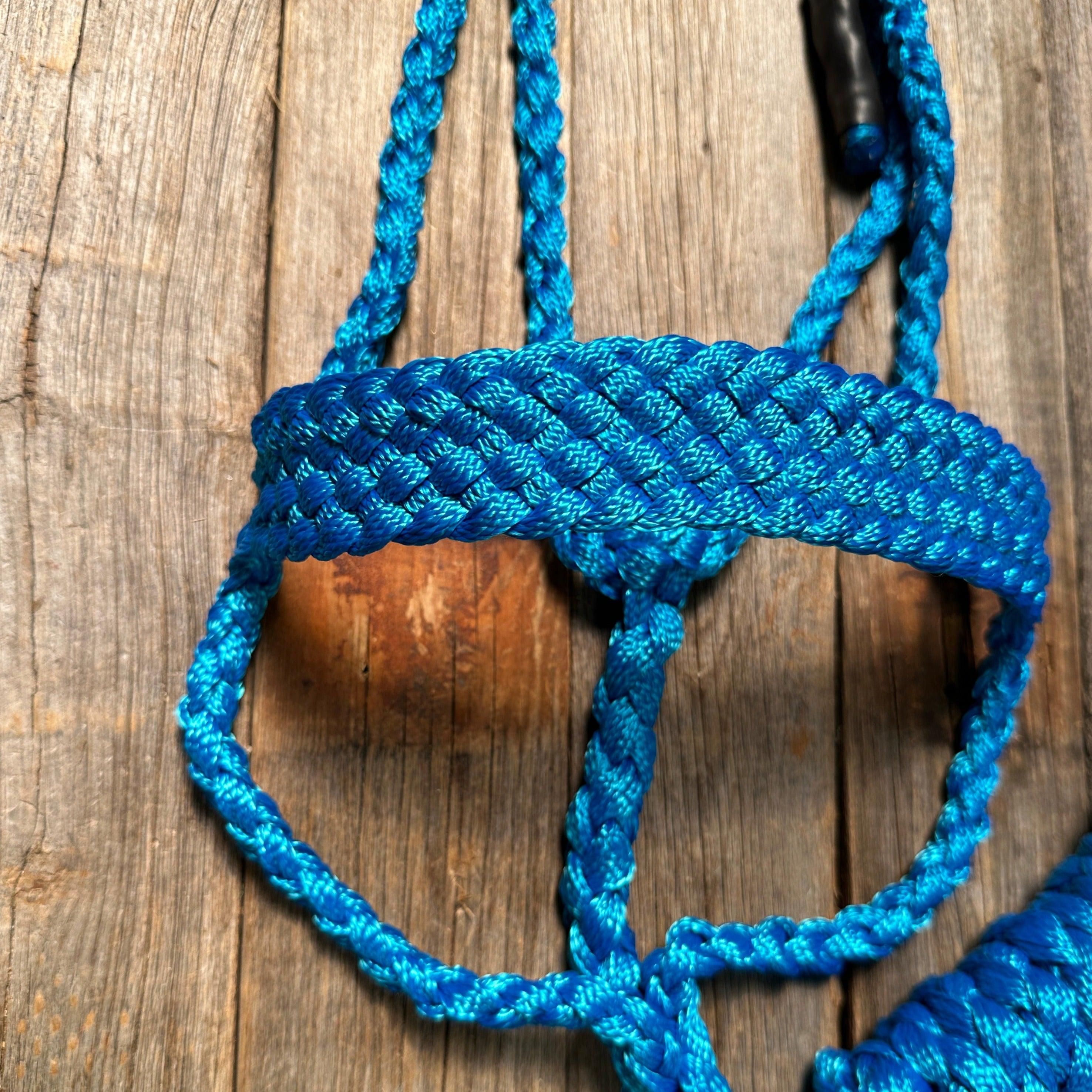 Blue Mule Tape Halter — view 3