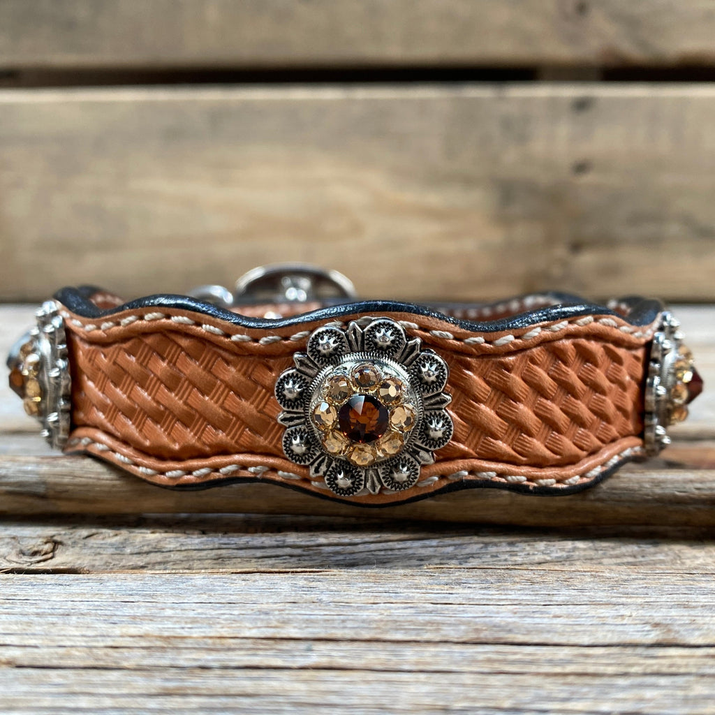 Genuine Leather Dog Collar With Antique Silver Topaz and Champagne Conchos 10" to 22" -DC12 — view 2
