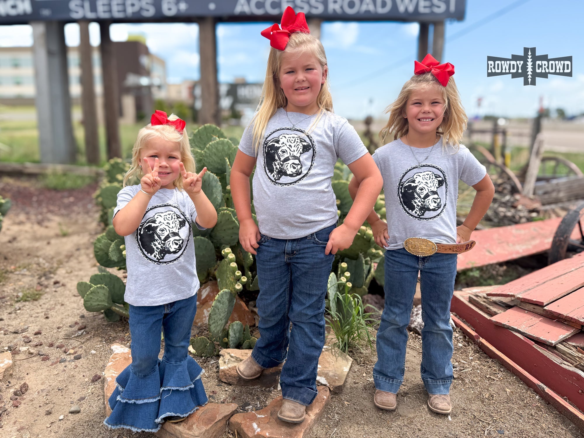 DS KIDS Happy Hereford Tee- GREY by Rowdy Crowd Clothing - product image 2
