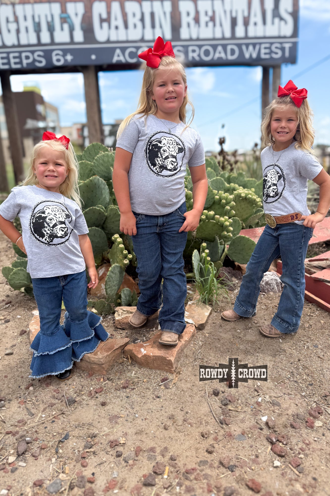 DS KIDS Happy Hereford Tee- GREY by Rowdy Crowd Clothing - product image 3