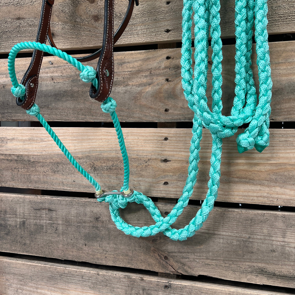 Medium Oil Floral V-Brow Turquoise Loping Hackamore #LHK034 — view 2