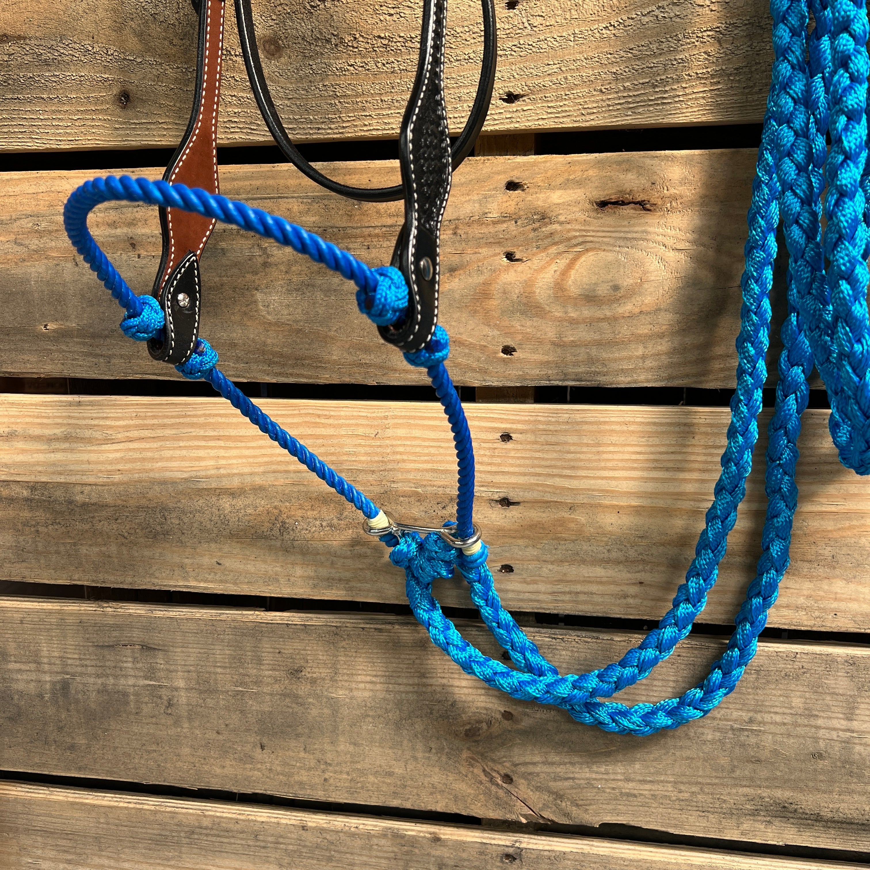 Black Basketweave Blue Loping Hackamore #LHK003 — view 2