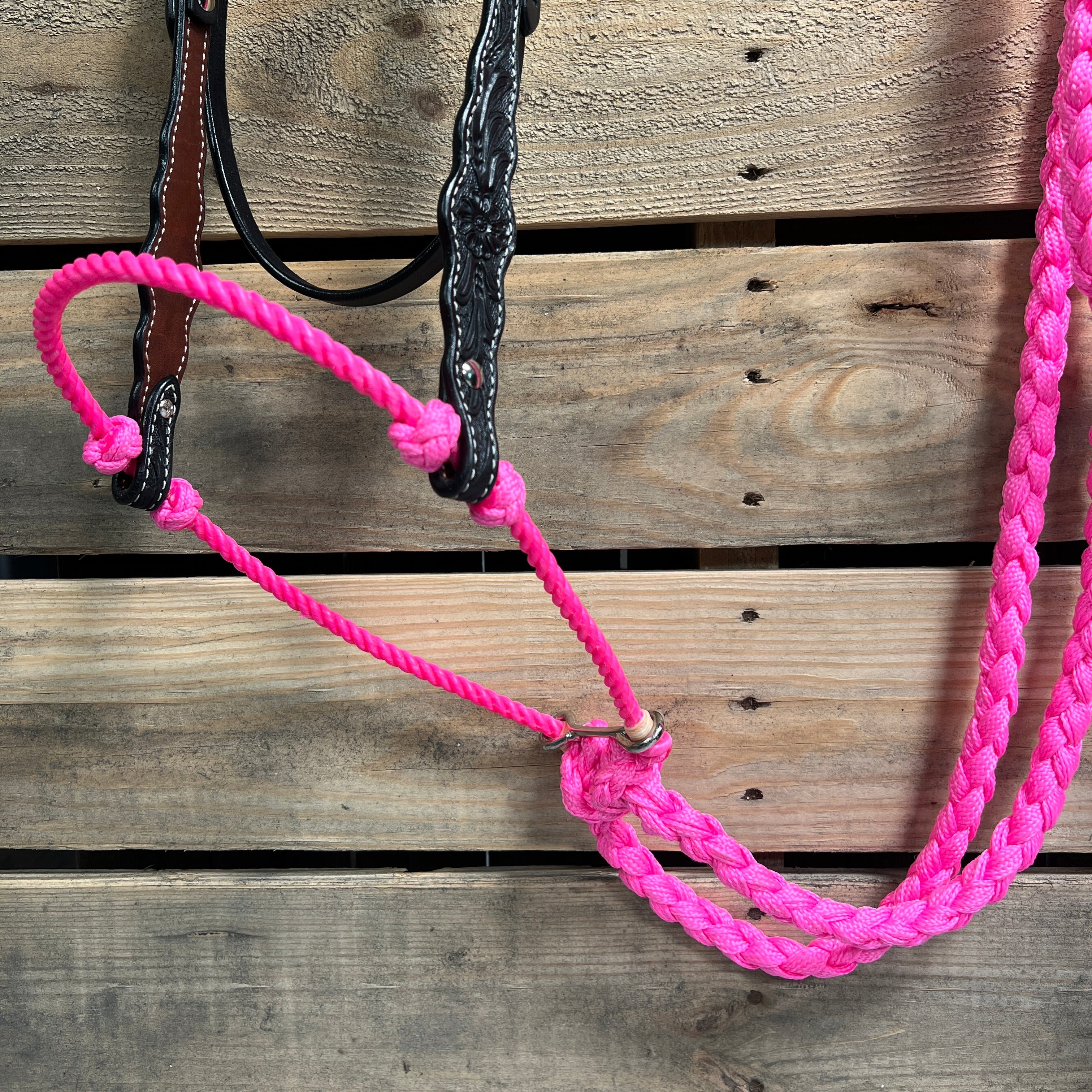 Black Floral Scalloped Neon Pink Loping Hackamore #LHK015 — view 2